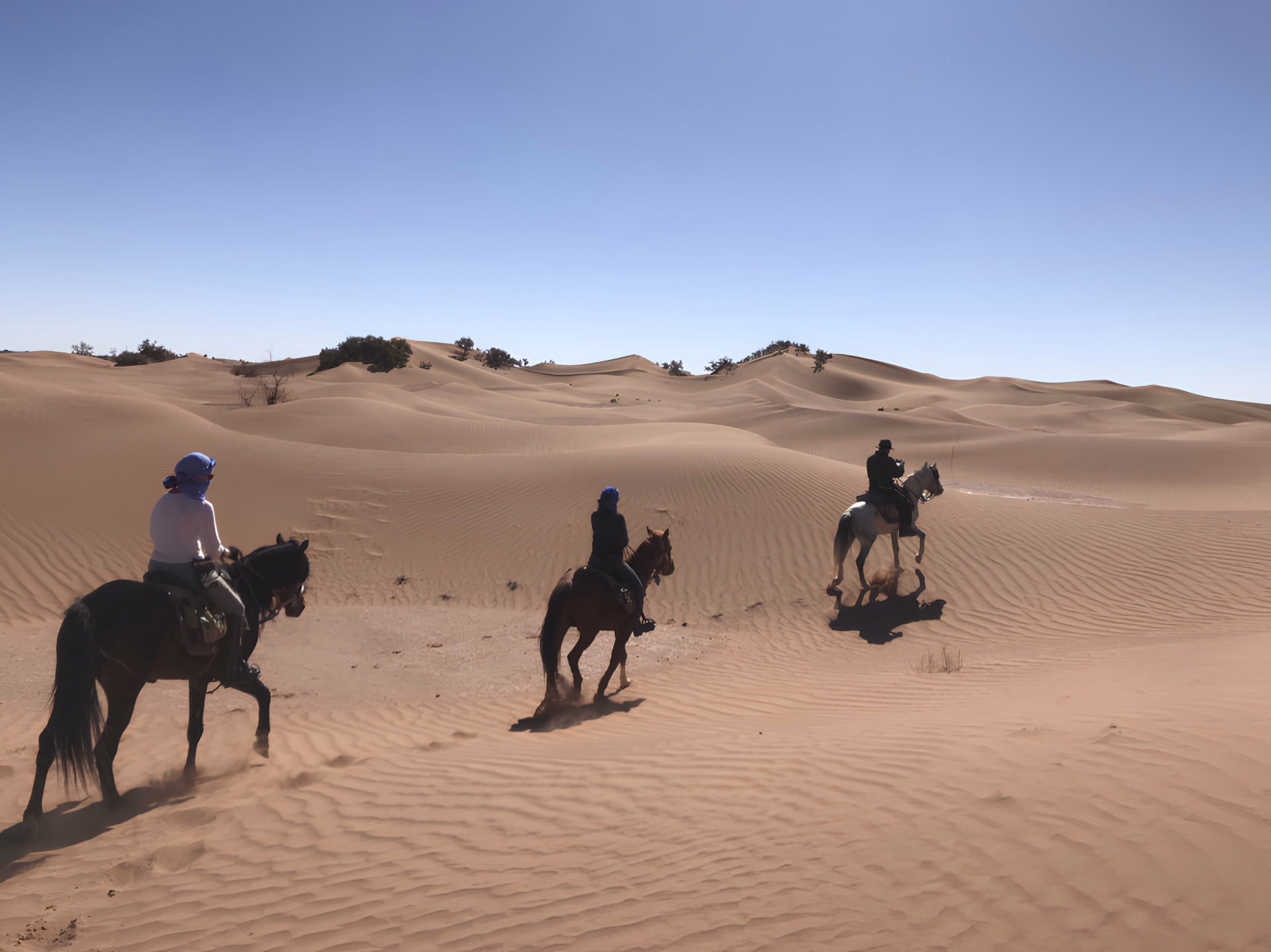Randonnée équestre dans le désert du Sahara