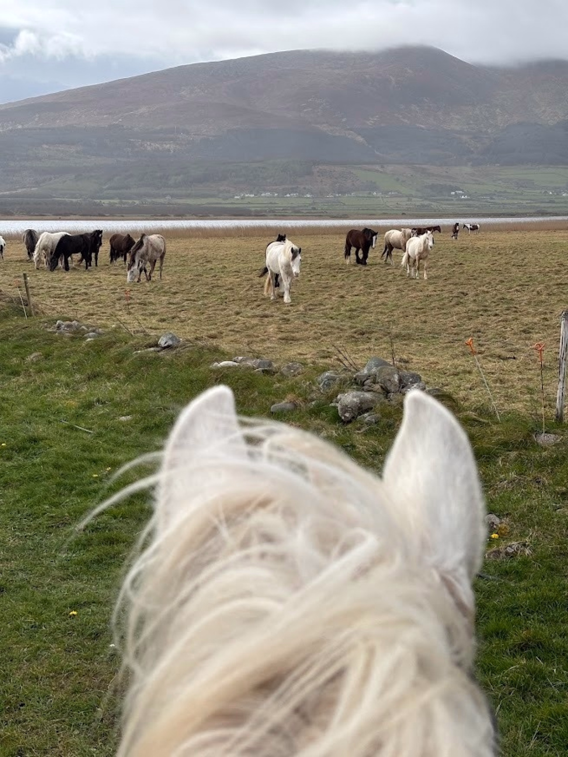 Escapade aventure ultime en Irlande
