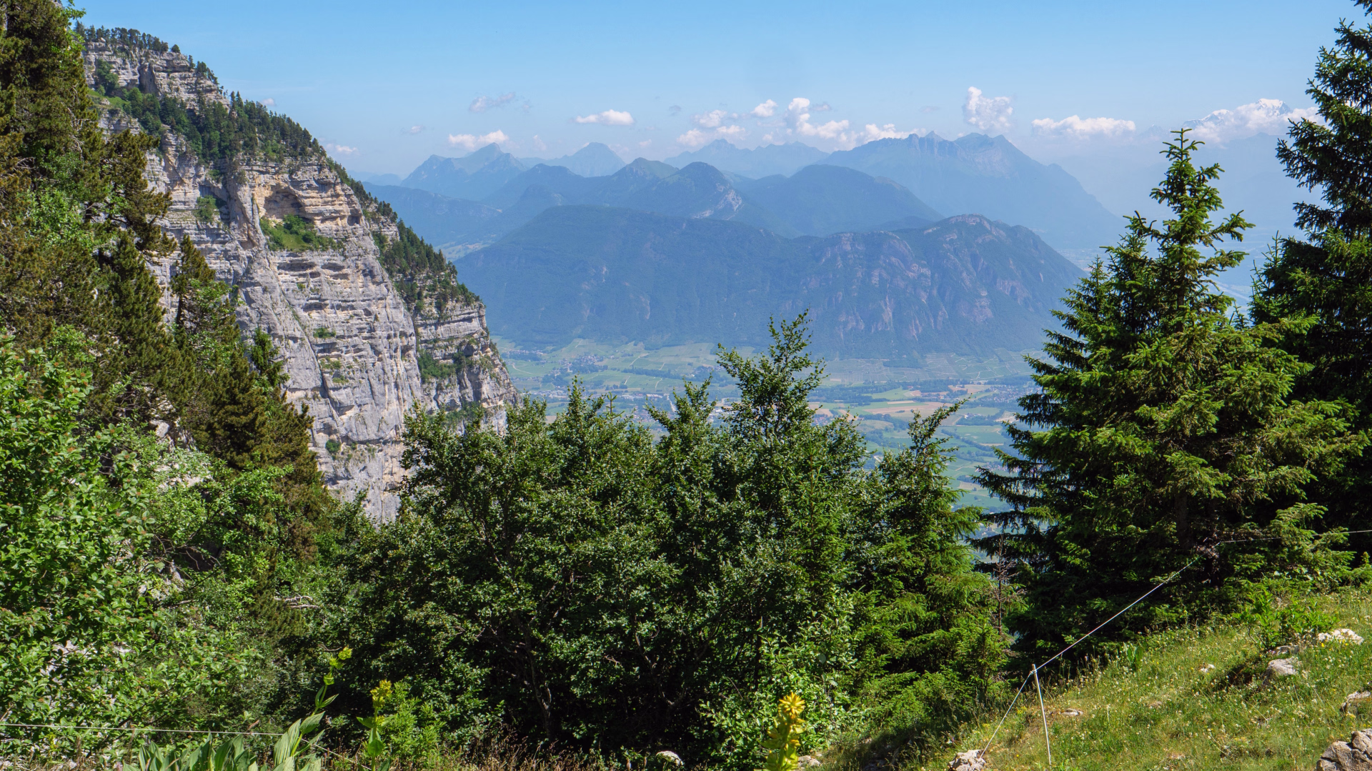 Balades en Chartreuse, entre alpages et traditions