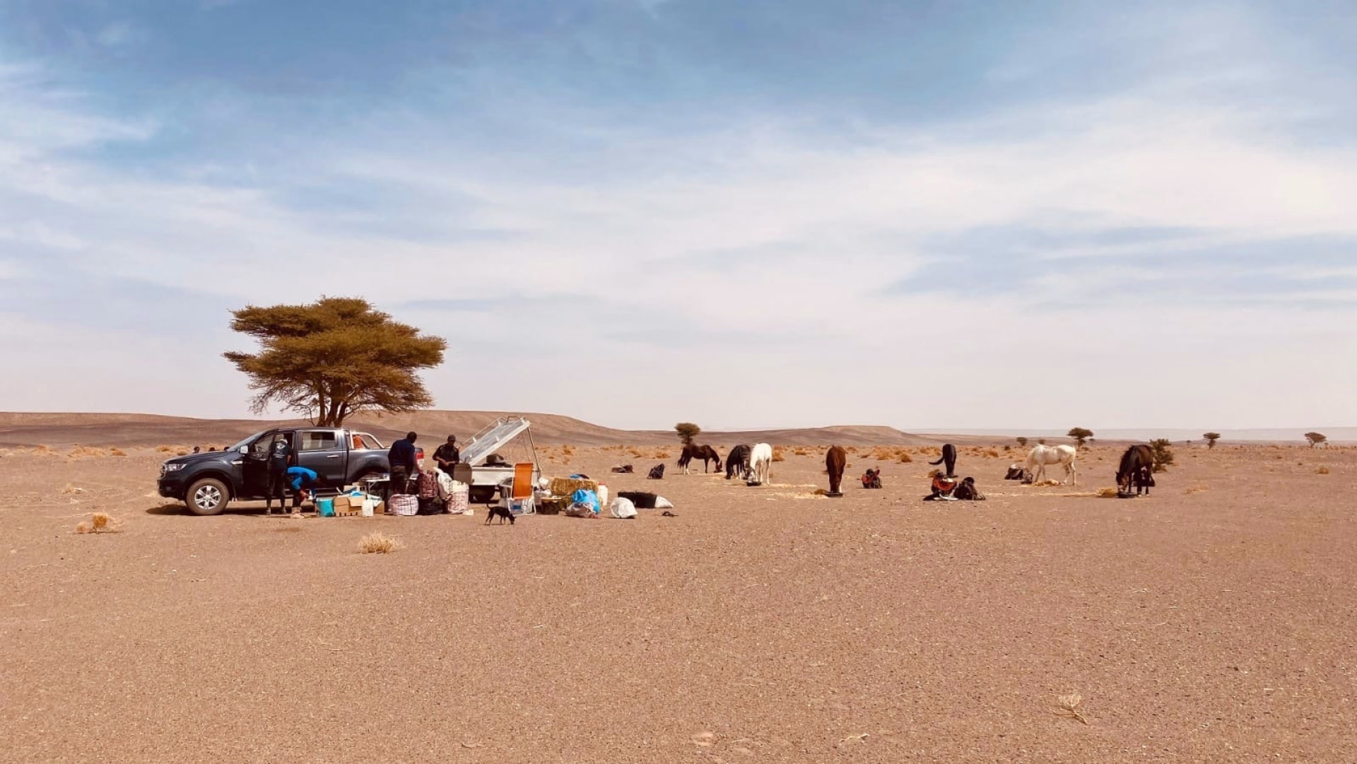 Expedition a cheval - Au Pays Des Mille Kasbahs