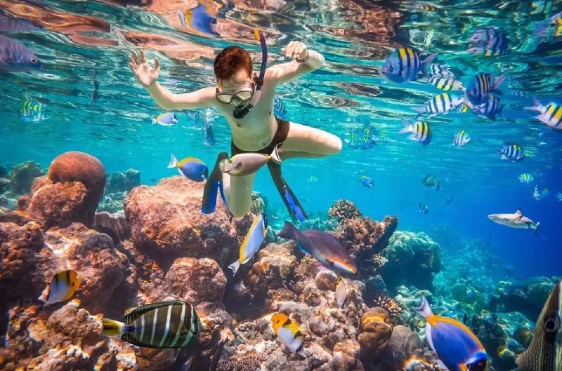 Snorkeling - Découvrez le monde sous marin de Ras Mohammed en palmes