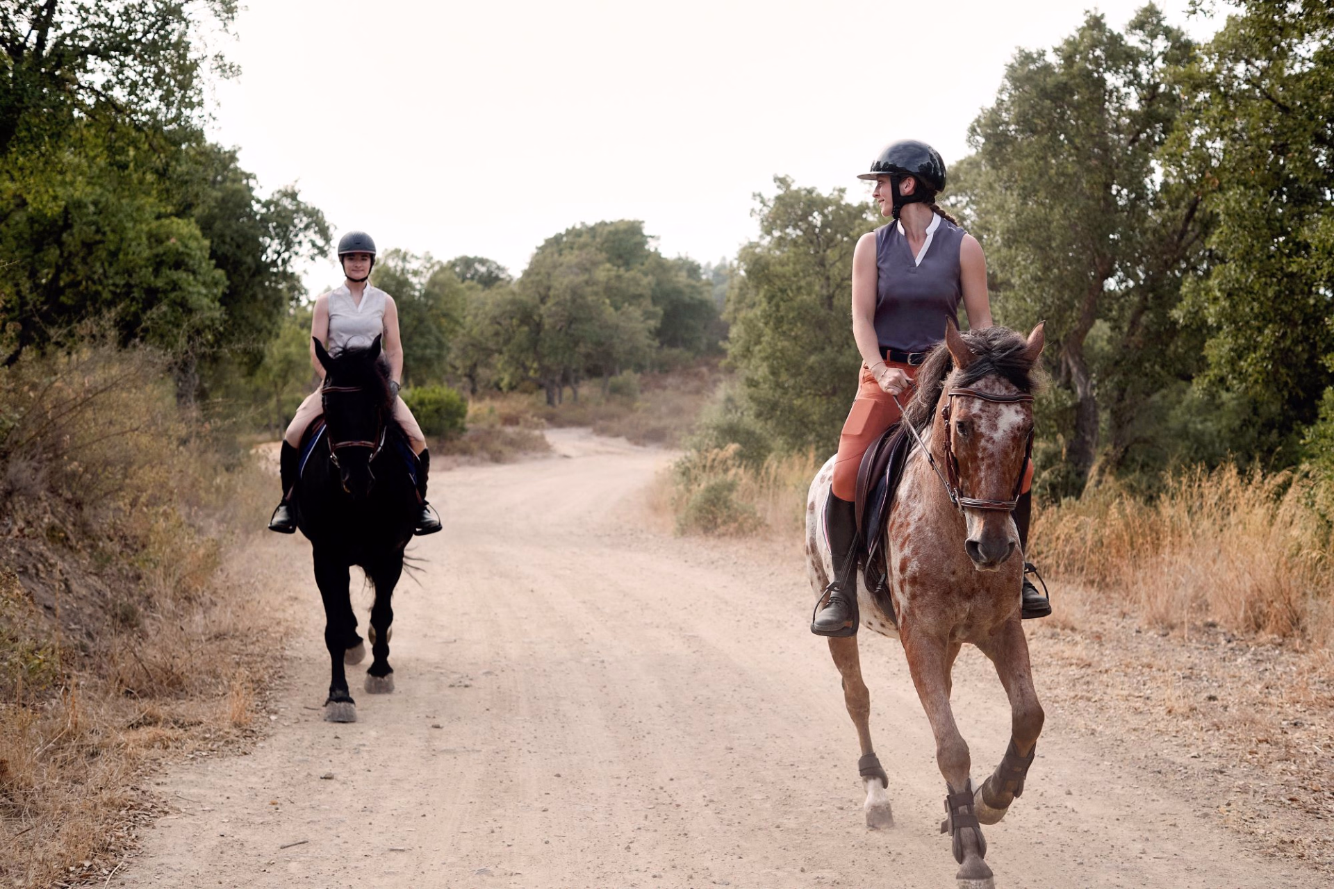 Courts séjours et week-ends à cheval pour une randonnée équestre