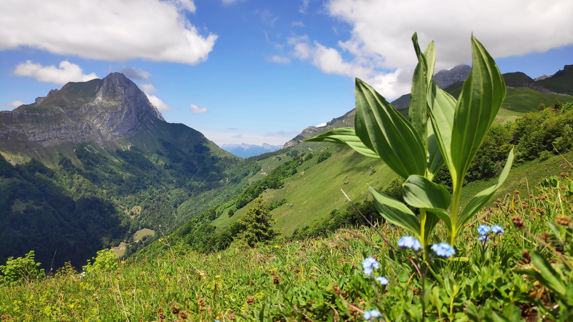 Randonnée sauvage et refuges au cœur des Bauges