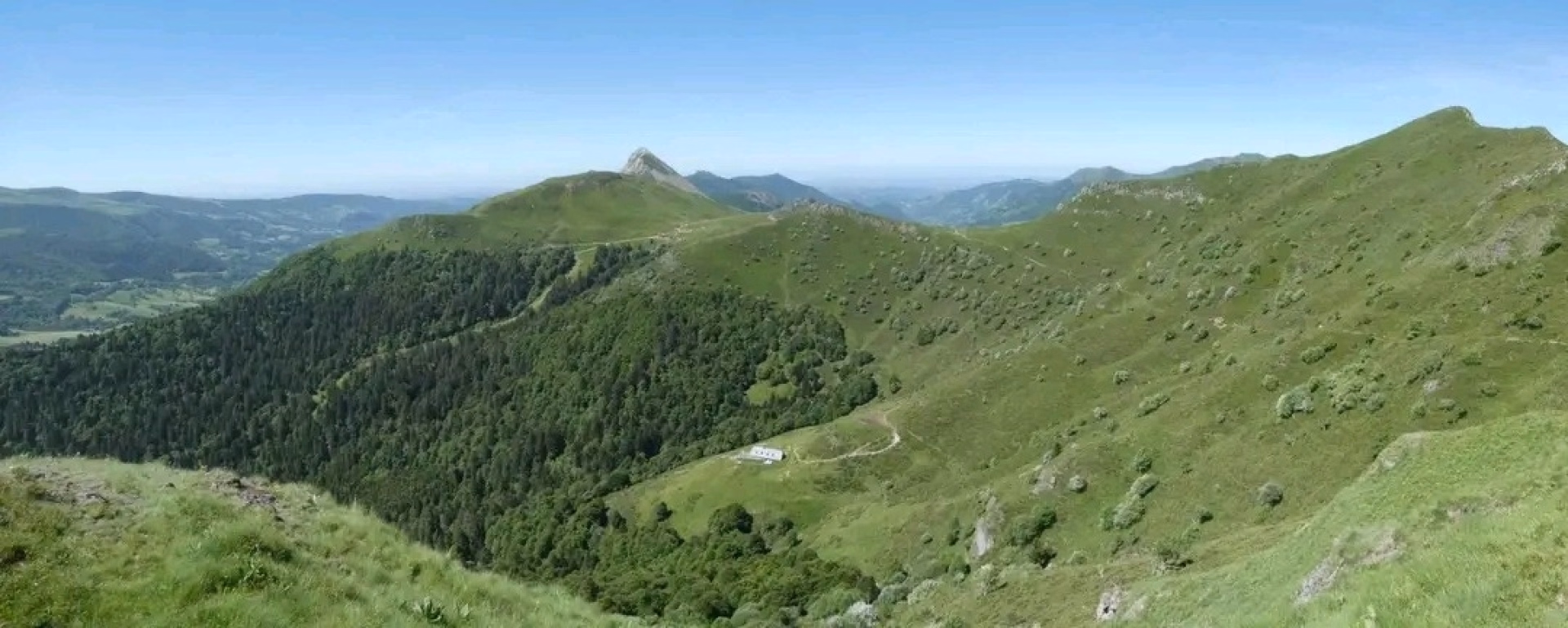 Randonnées pédestres sur le grand volcan du Cantal