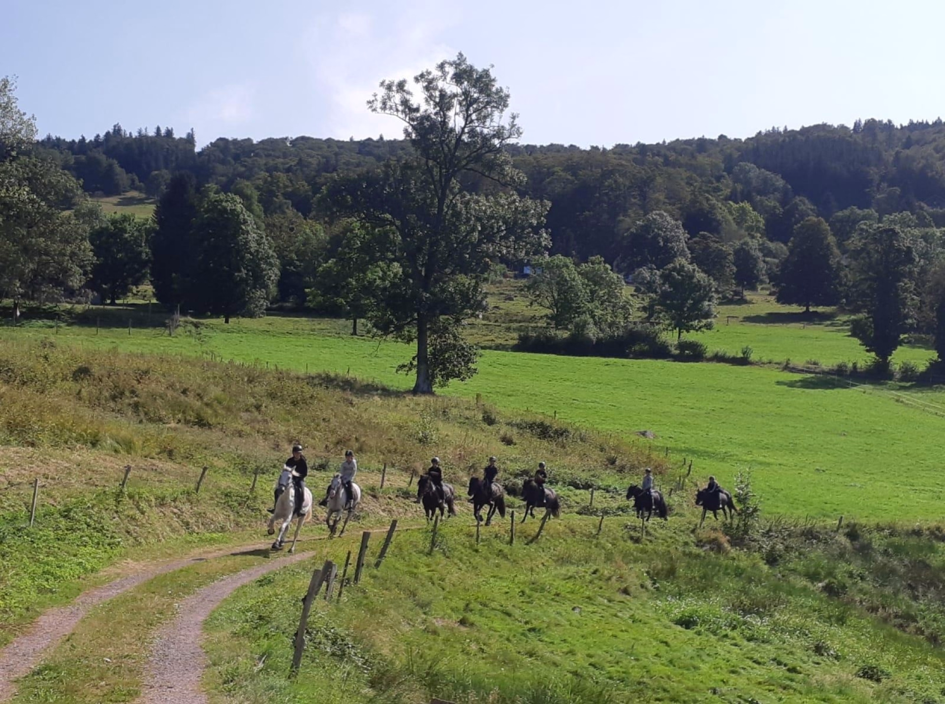 Randonnée équestre tous niveaux au cœur des Vosges