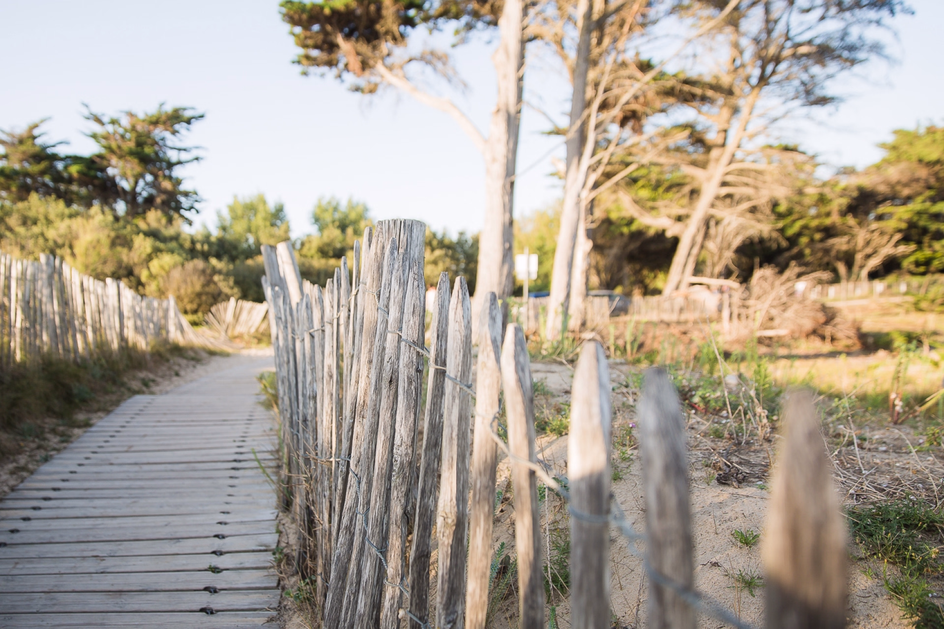 Stage kitesurf x Tribord : immersion exclusive dans le sud ouest