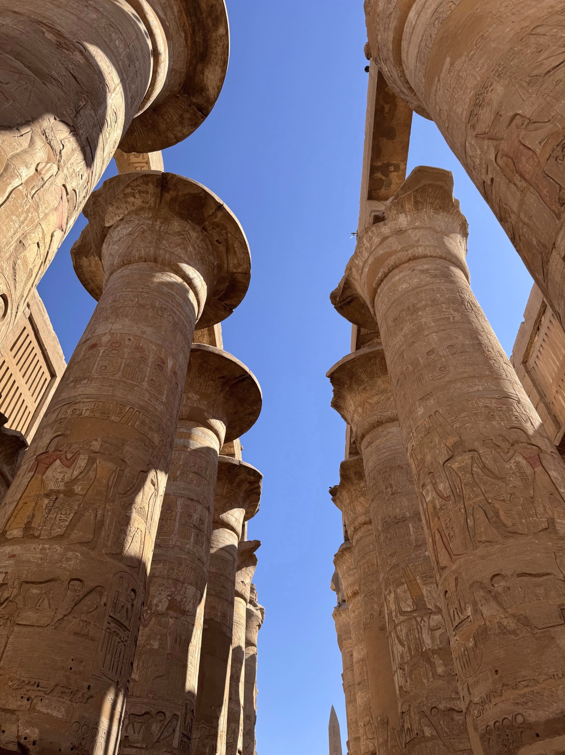 Voyagez en solo de la Mer Rouge aux trésors de l'Égypte