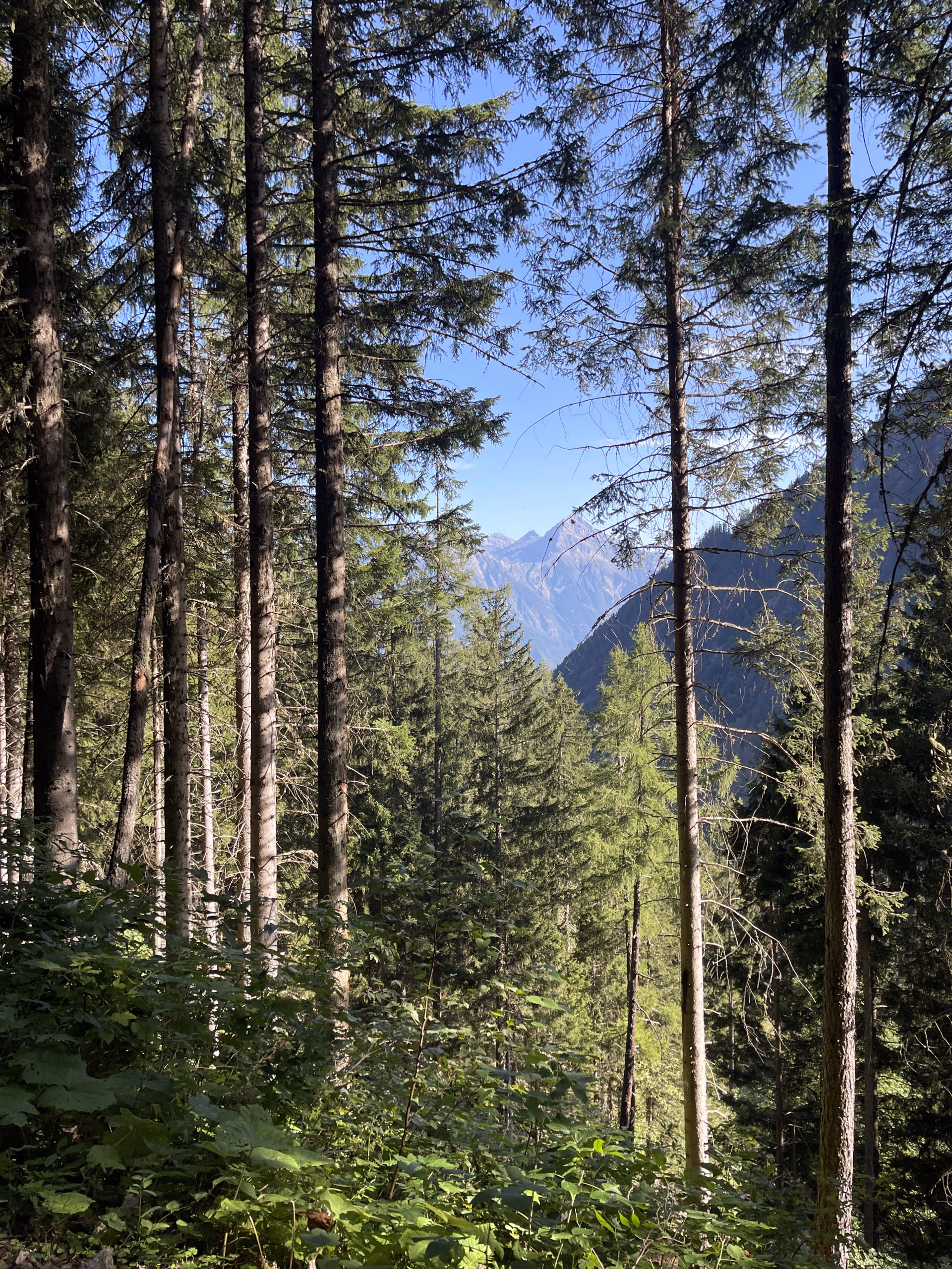 photo paysage tour du mont blanc