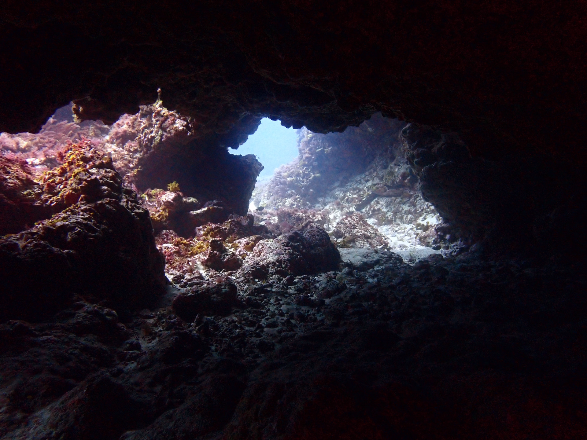 Les incontournables de Lanzarote : spécial plongeurs confirmés