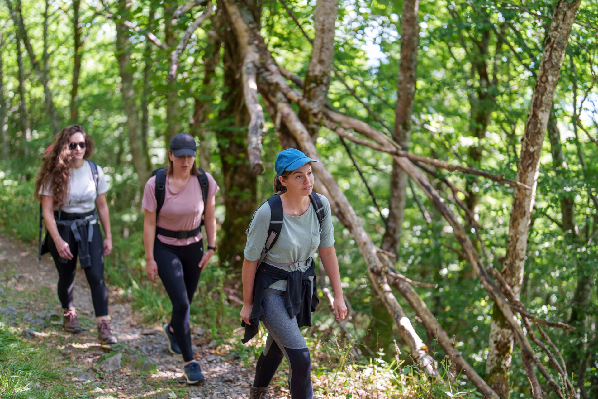 4 jours en randonnée itinérante et bien-être sur le GR53 en Alsace