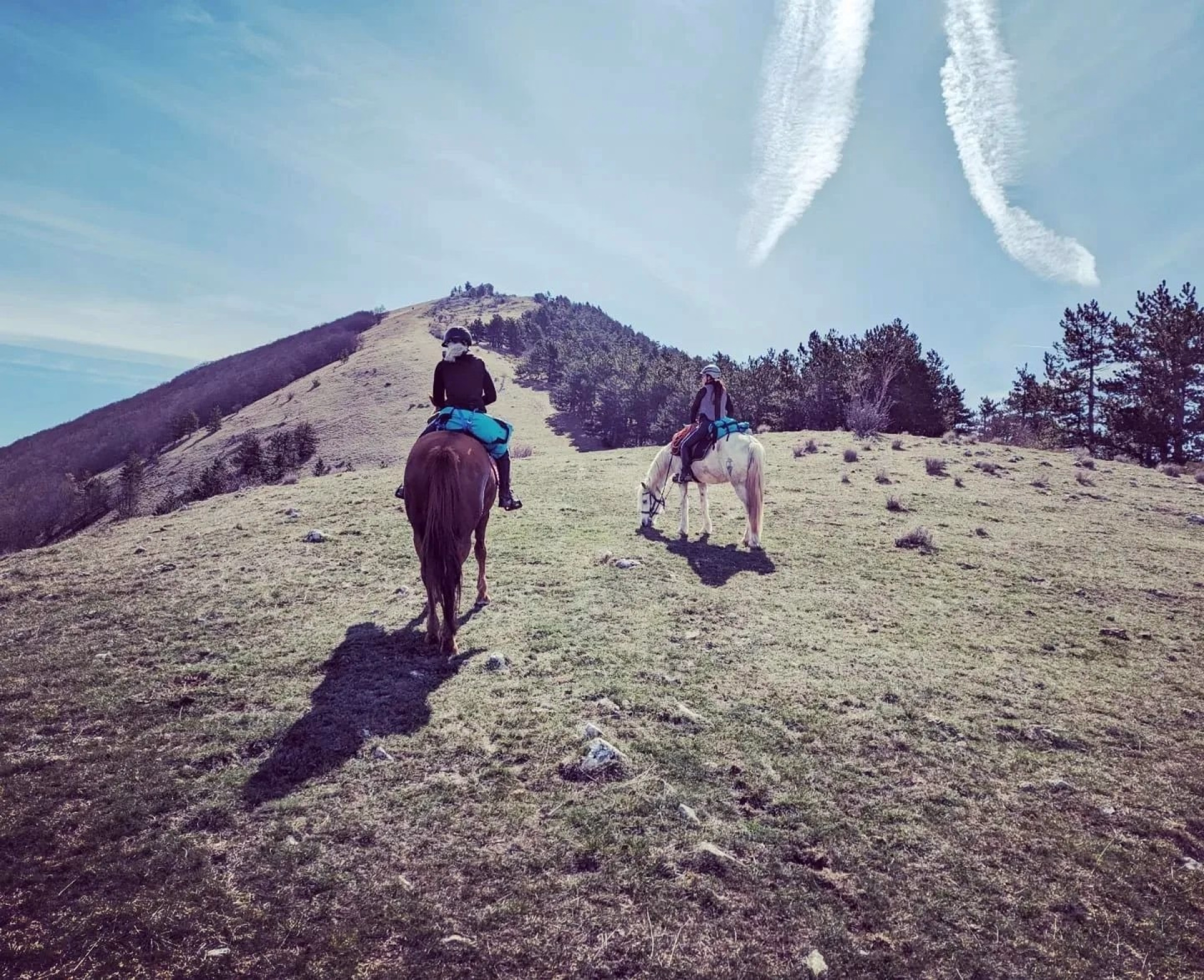 Randonnée équestre en yourte au cœur des Baronnies Provençales