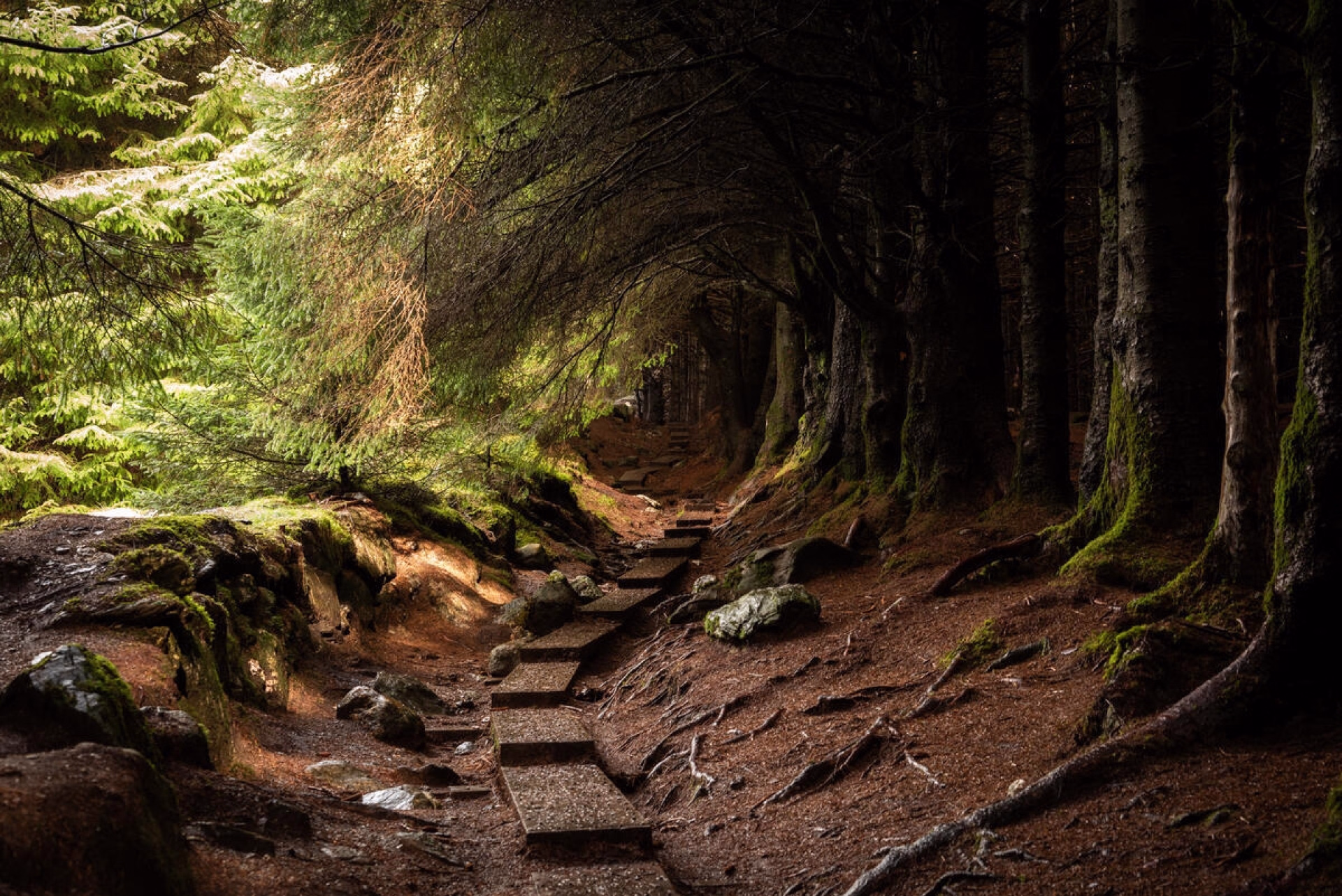 Le Wicklow Way à pieds sur 8 jours