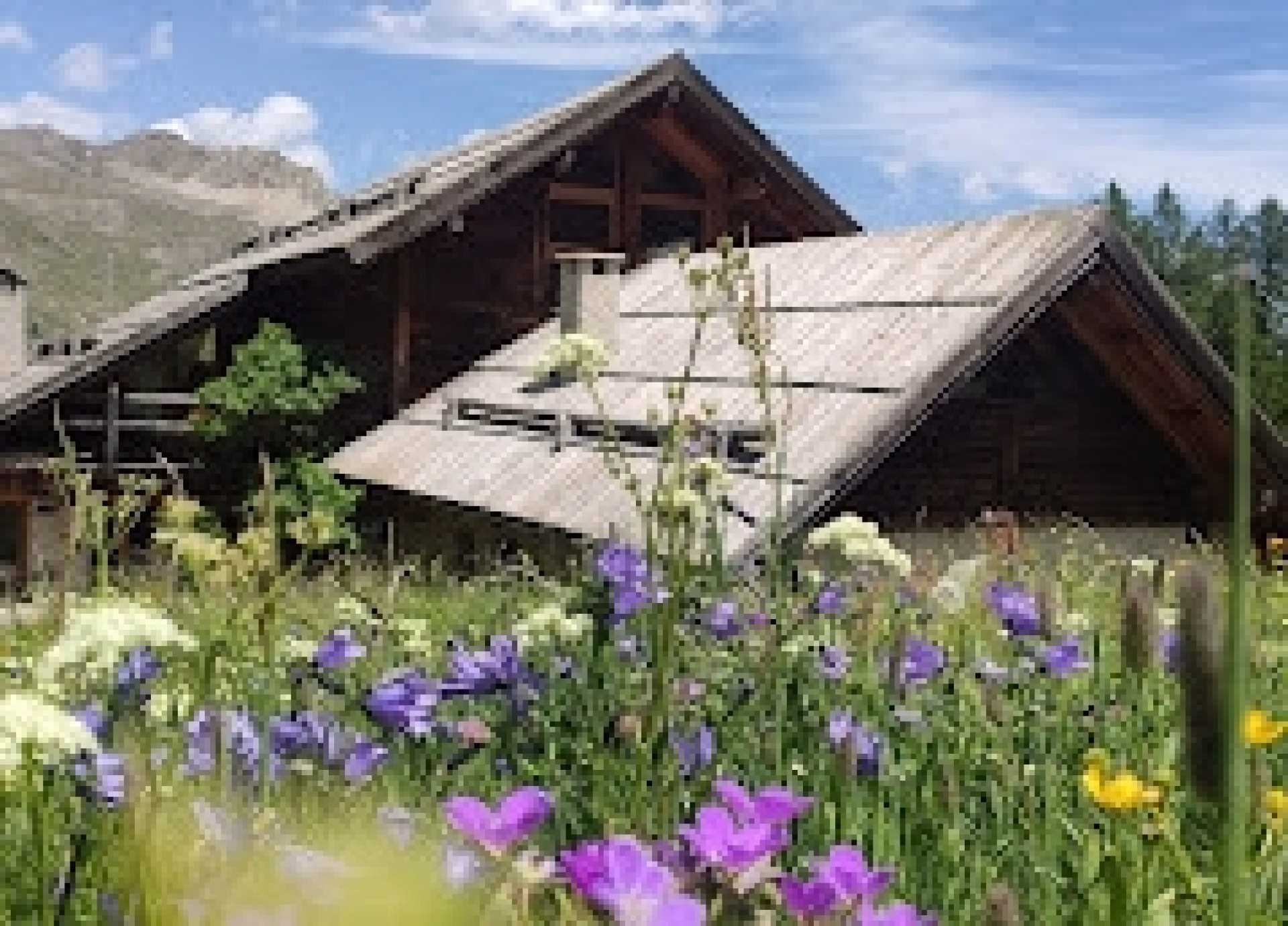 🏔️ Refuge - Jours 1 à 5
