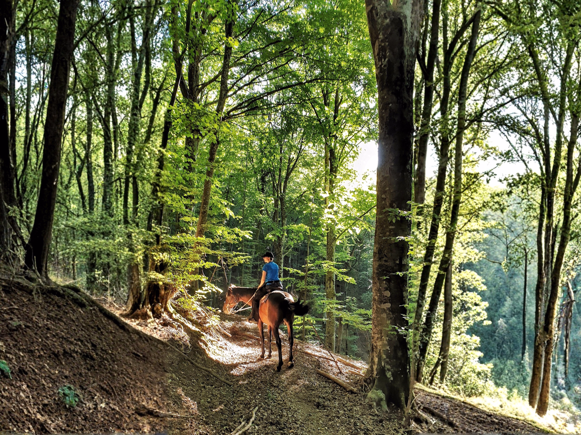 Randonnée à cheval en Toscane