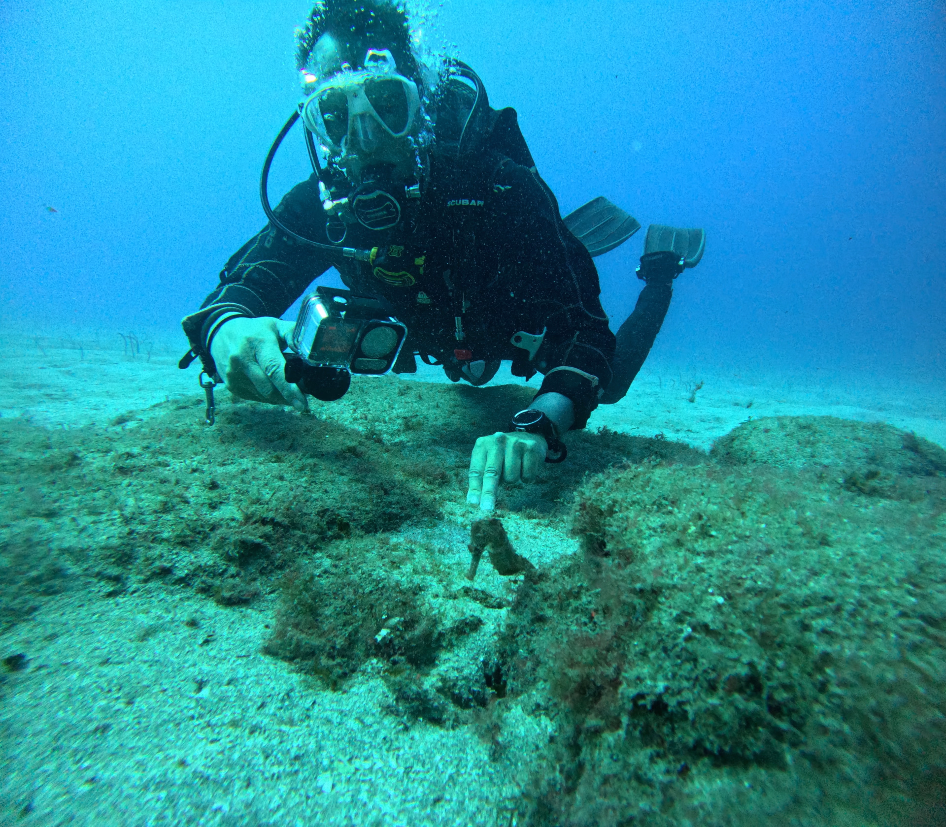 Une semaine d'exploration sous-marine à Tenerife