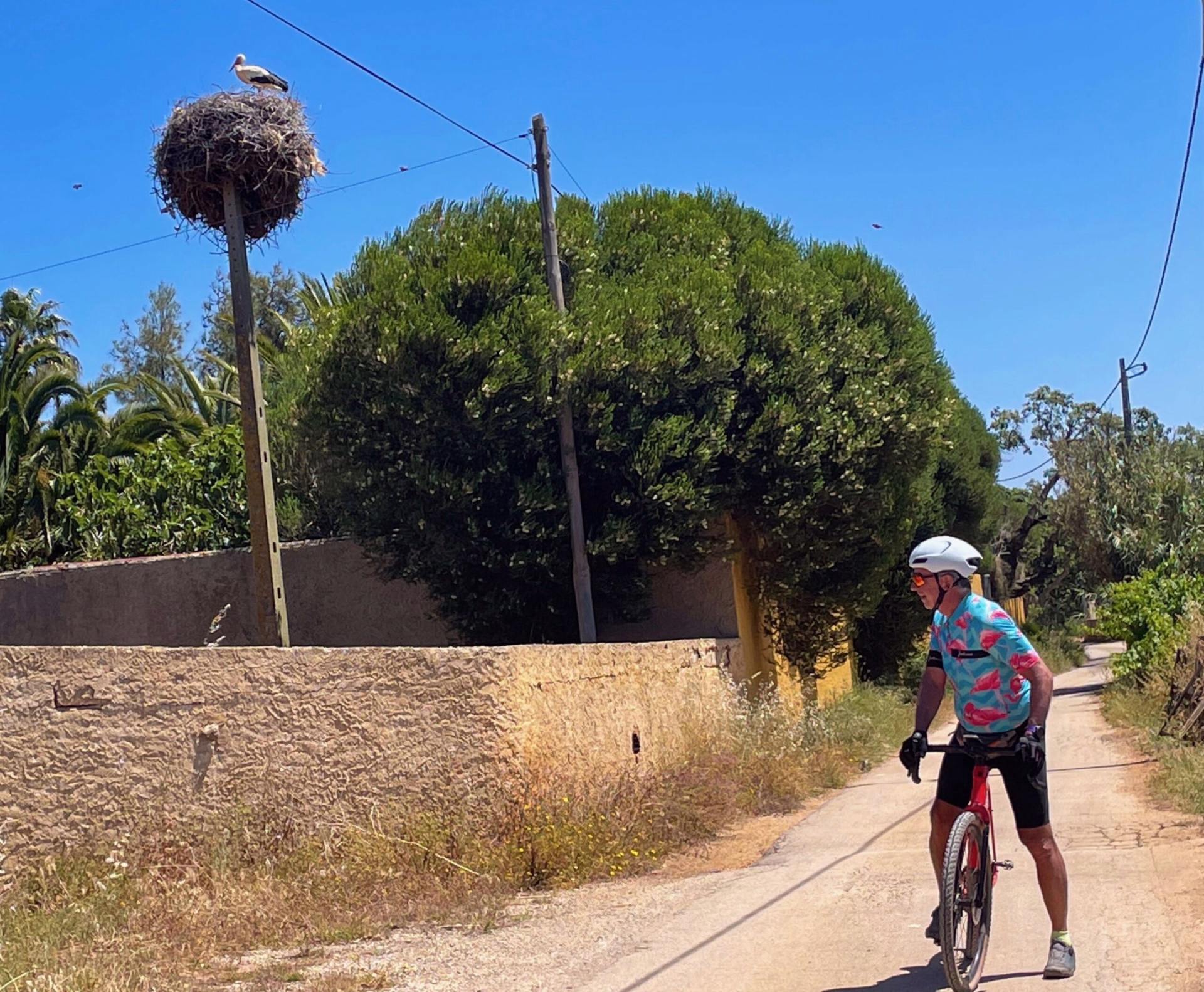 Explorez les plus beaux sites de l'Algarve en vélo gravel