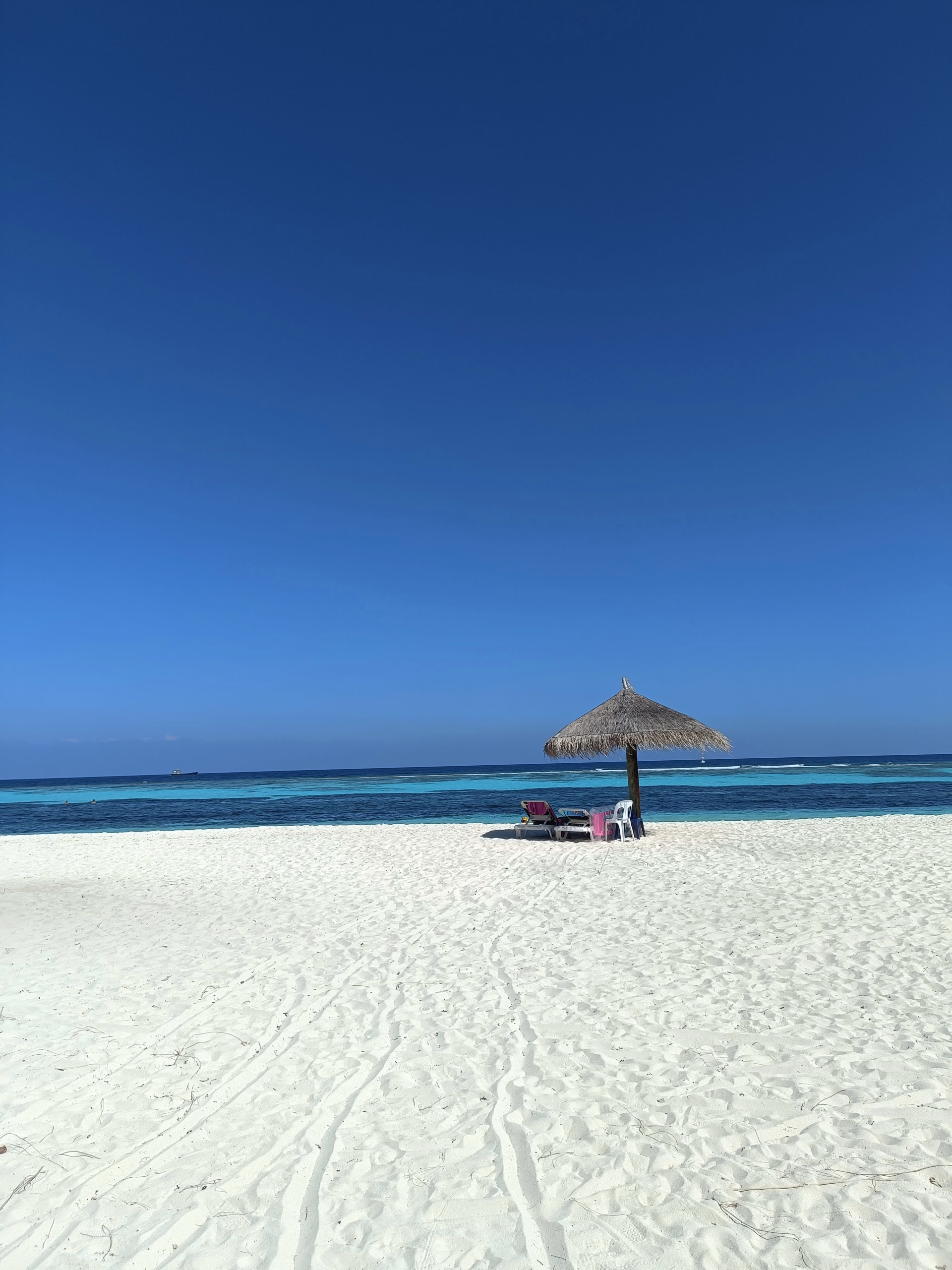 Semaine de plongée dans l'atoll d'Ari Sud sur une île locale aux Maldives