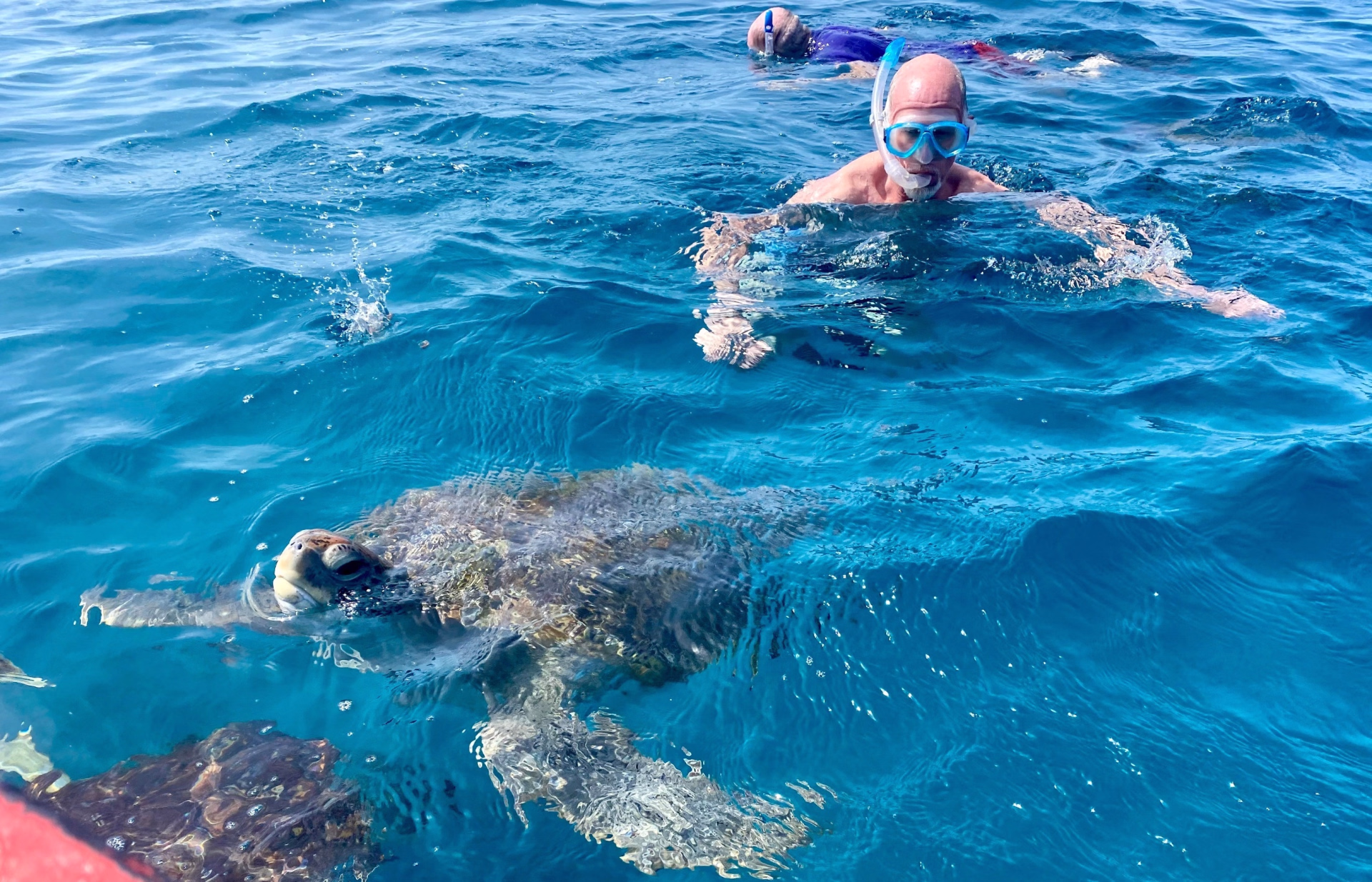 Entre nature et authenticité : le Cap Vert autrement