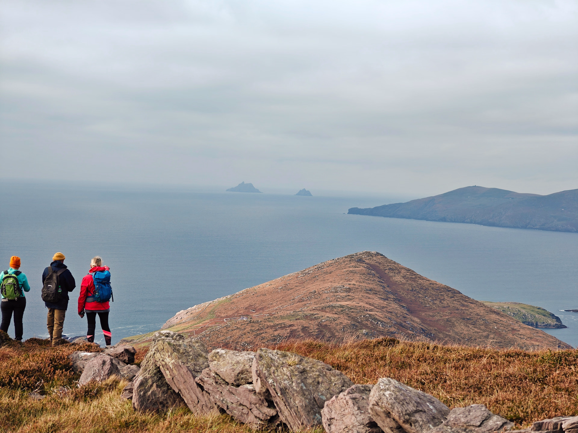Randonnée côtière guidée sur l'itinéraire sauvage du Ring of Kerry