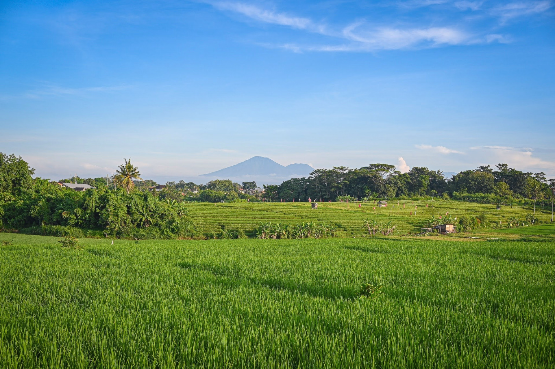 Tour de l'ouest de Bali à VTT : rizières, volcans et côte sauvage
