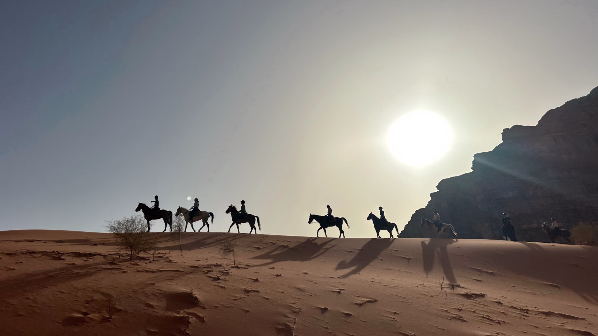 Randonnée à cheval au coeur de la Jordanie - Spécial Réveillon