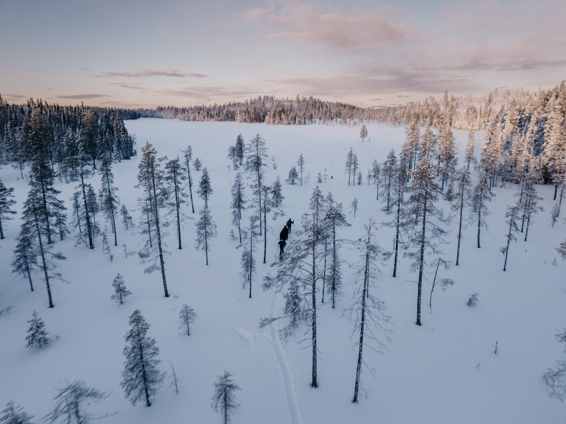 Apprentis Musher en Laponie suédoise