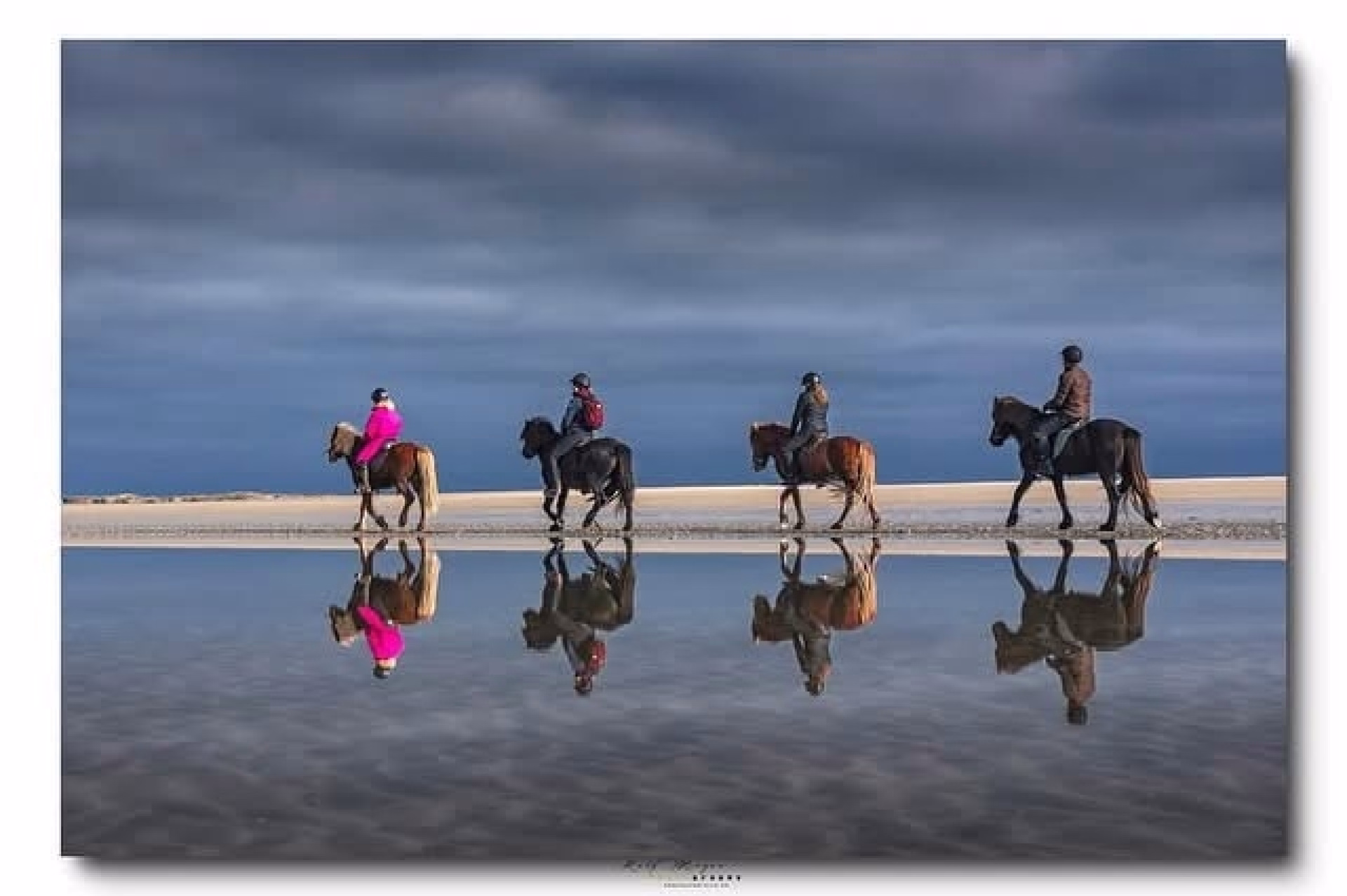 Randonnée équestre sur les plages du Danemark entre fjords et Wadden