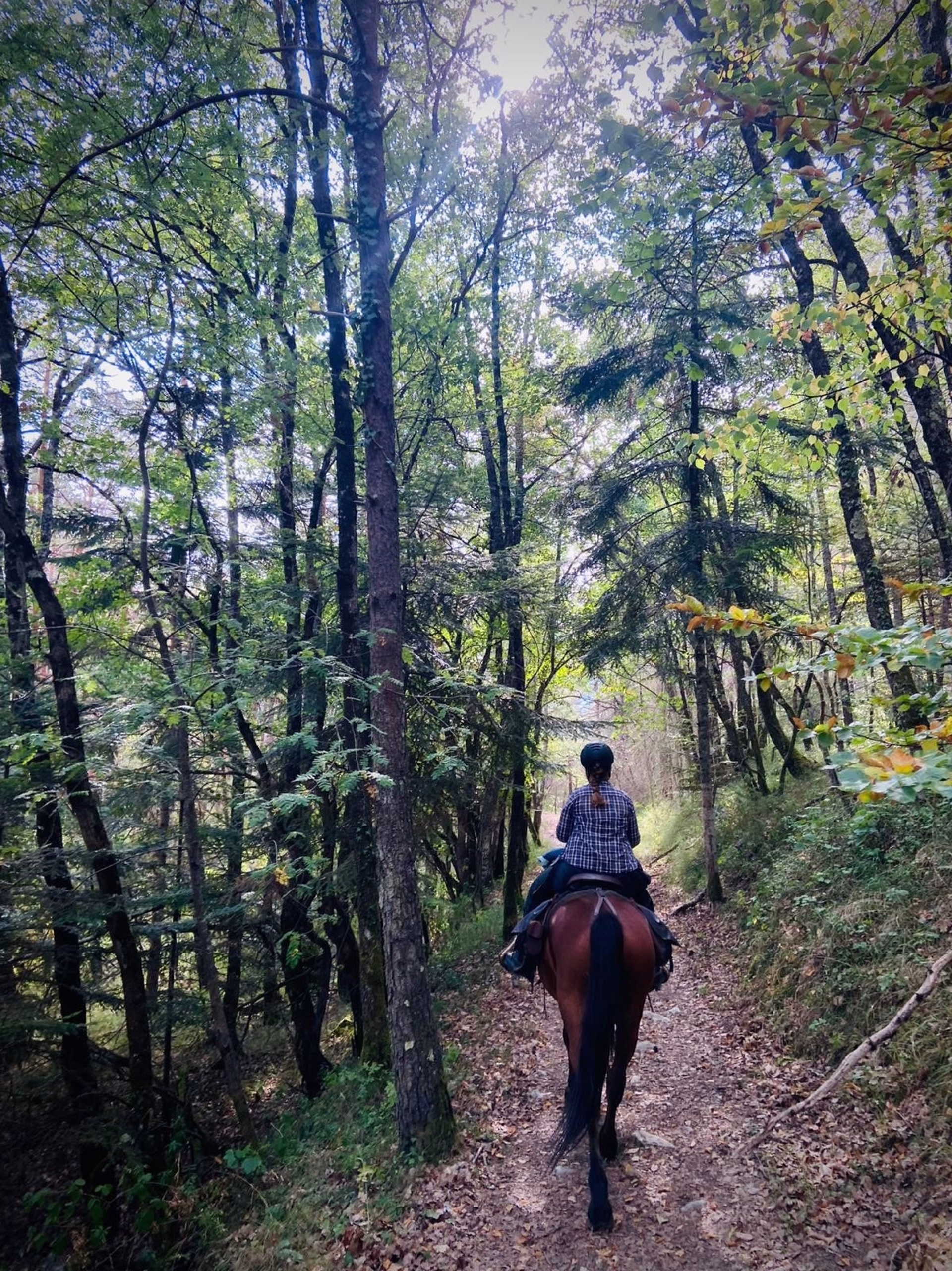 Rando équestre sur le Sentier Cathare pyrénéen