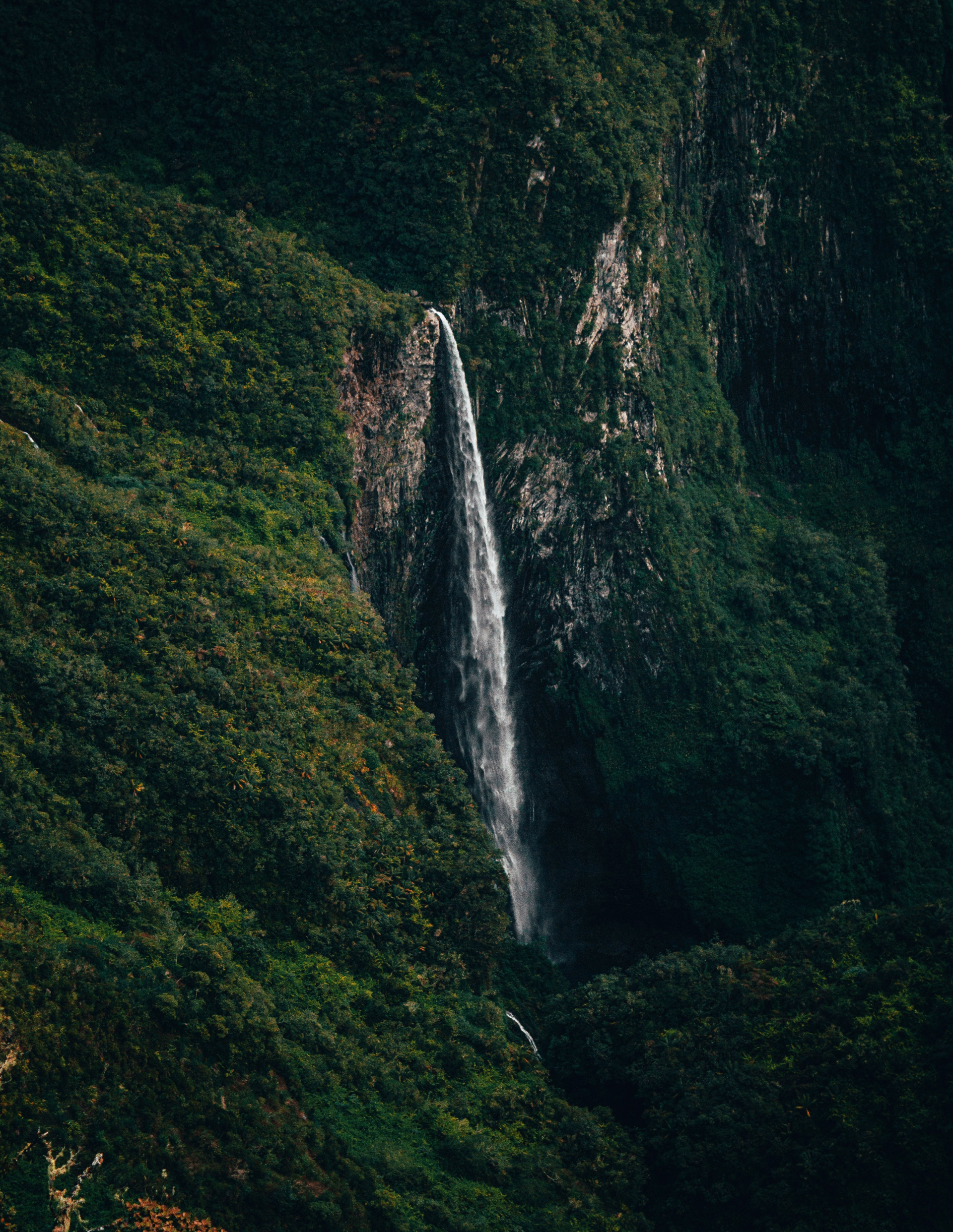 La Réunion, terre insolite