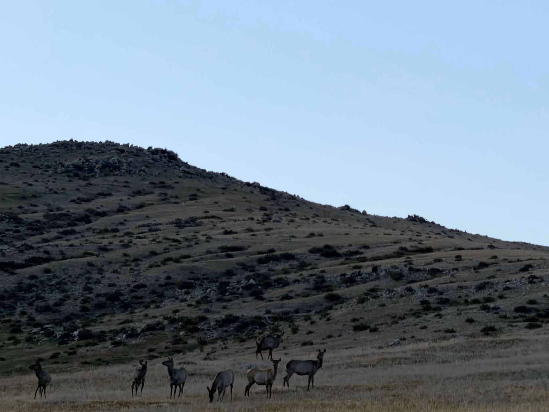 Mongolie, entre steppes et traditions