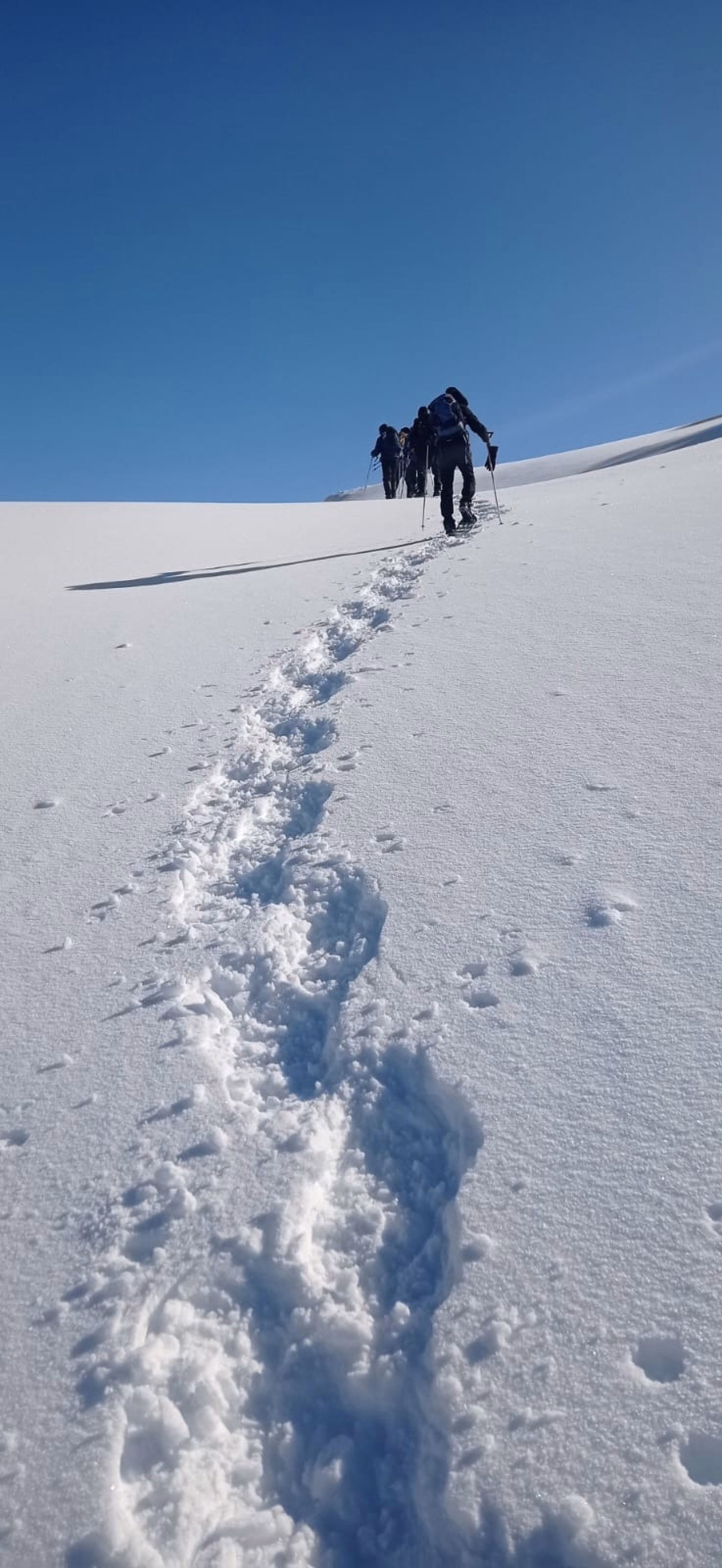 Randonnées hivernales au cœur du Cantal