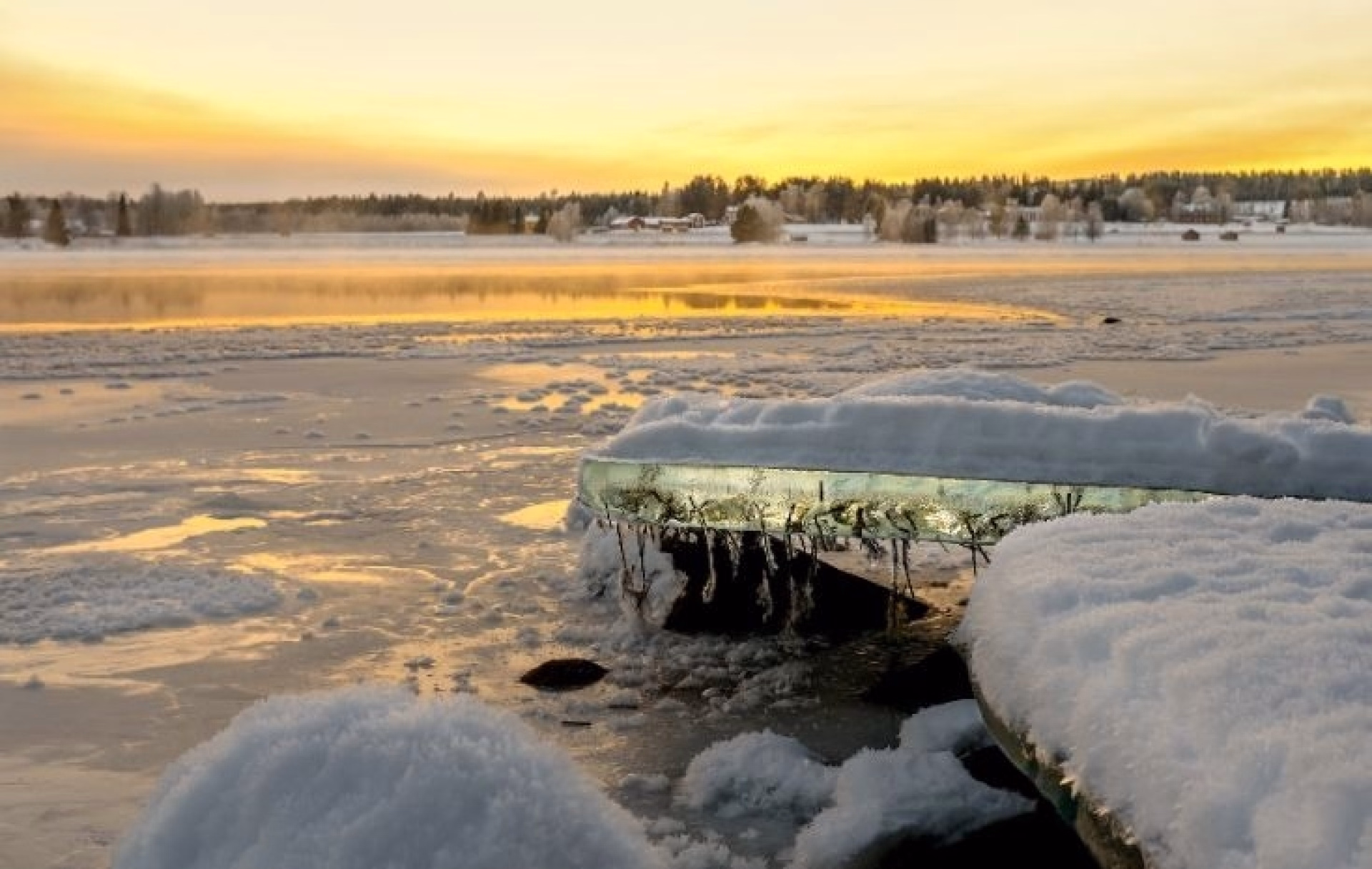 Immersion en Laponie Suédoise