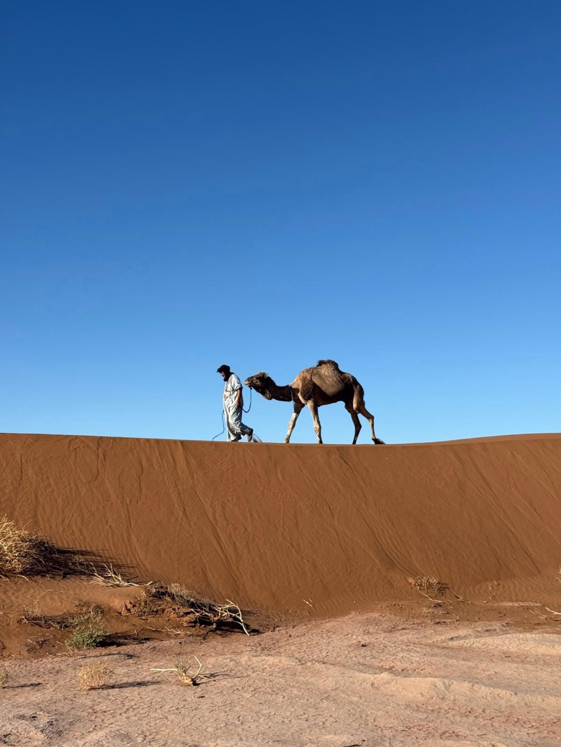 4 jours au cœur des dunes du Sahara marocain