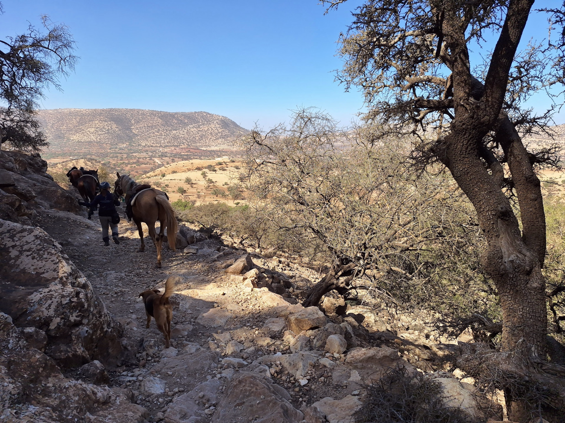 Randonnée équestre au Maroc : la Chevauchée au cœur d'Essaouira