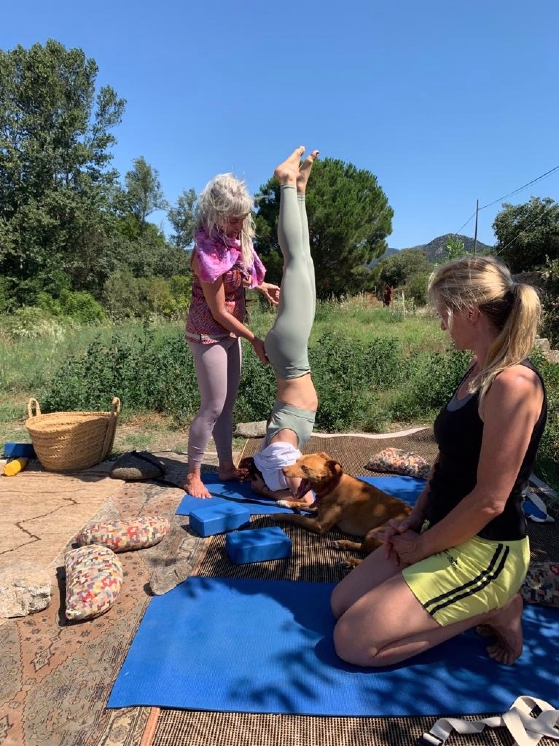 Retraite de Yoga, Méditation & Relaxation en pleine nature