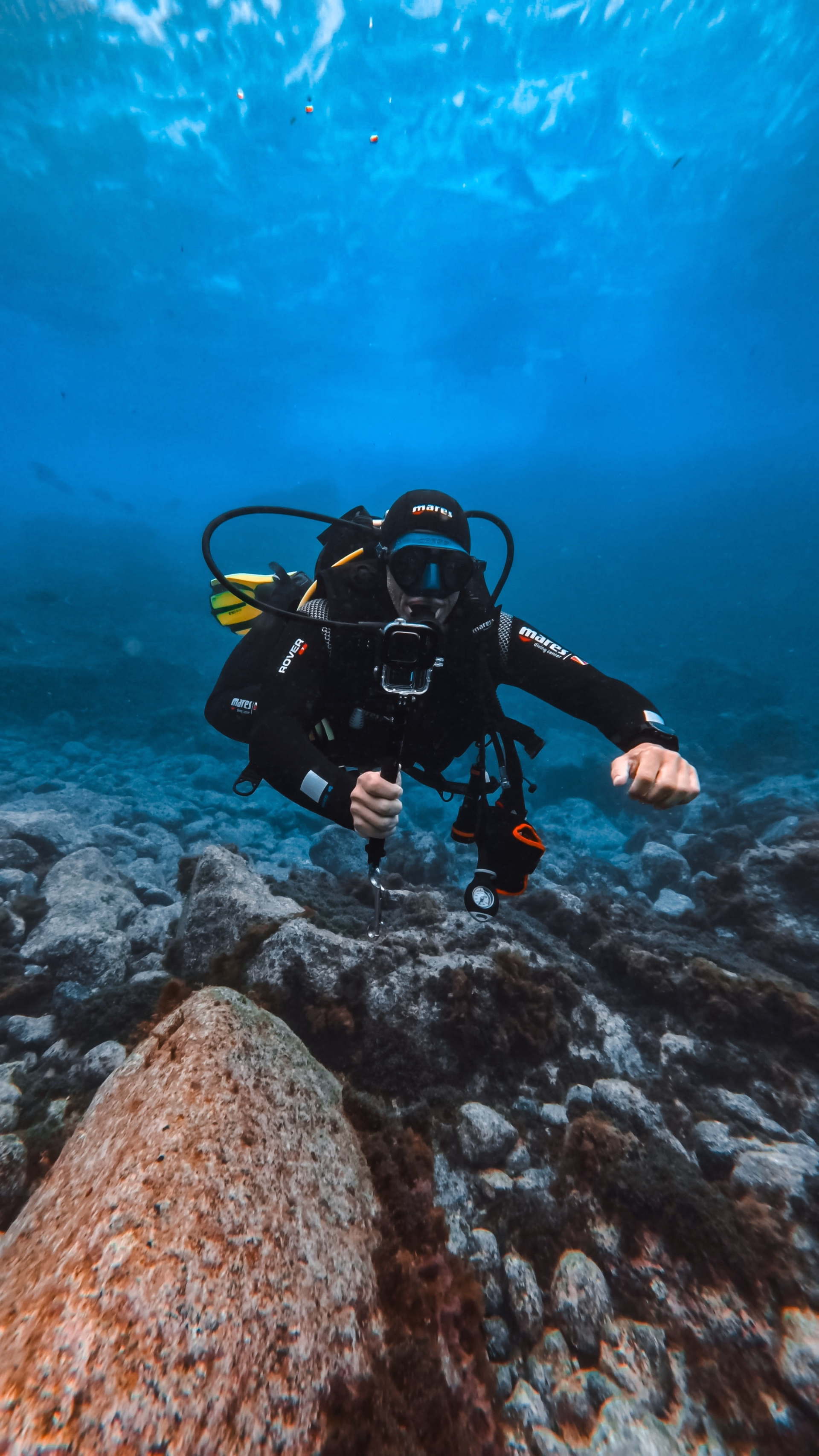 Plongée au large avec les raies mobulas et les requins peaux-bleues