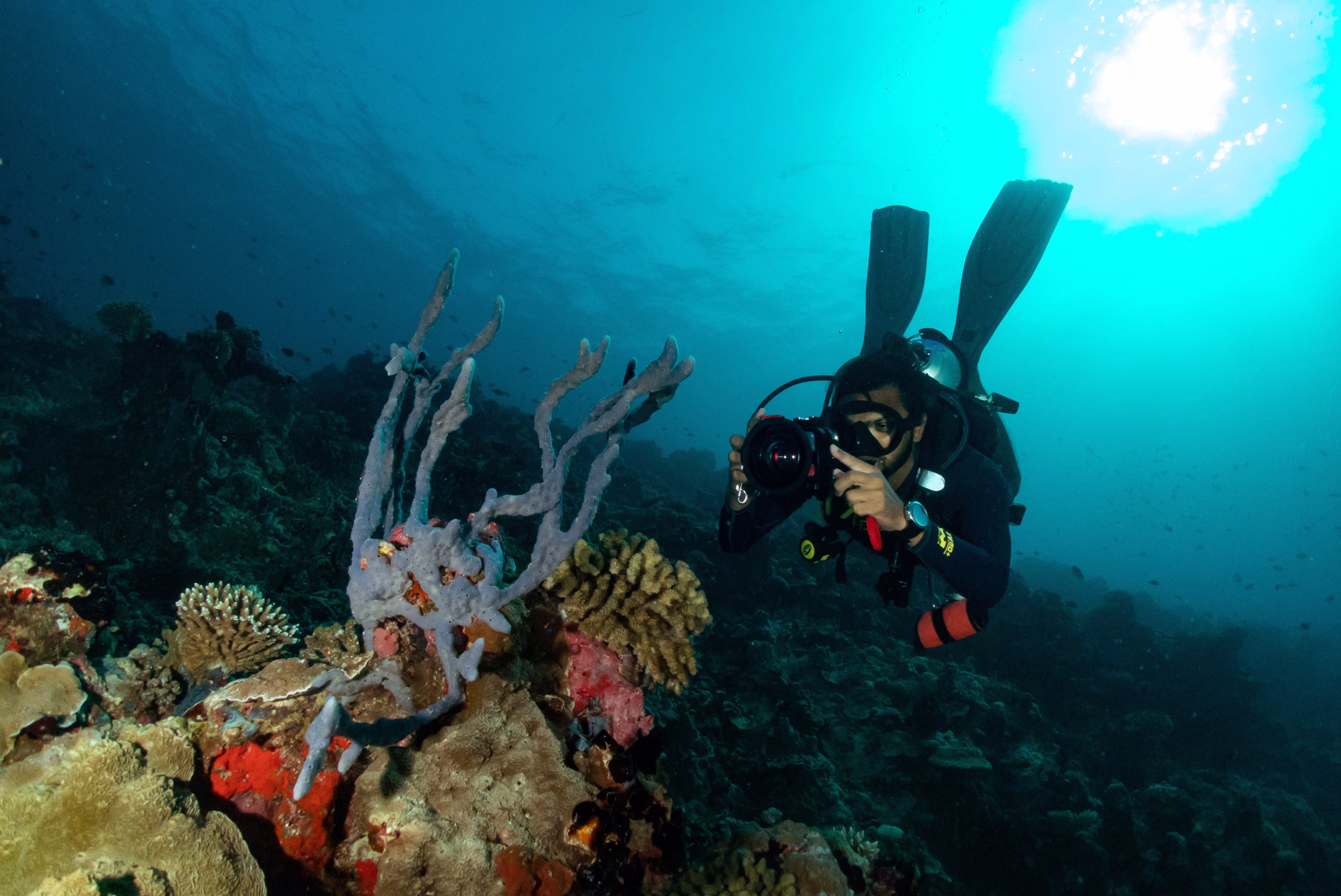 10 plongées aux Maldives sur l’île locale de Himmafushi