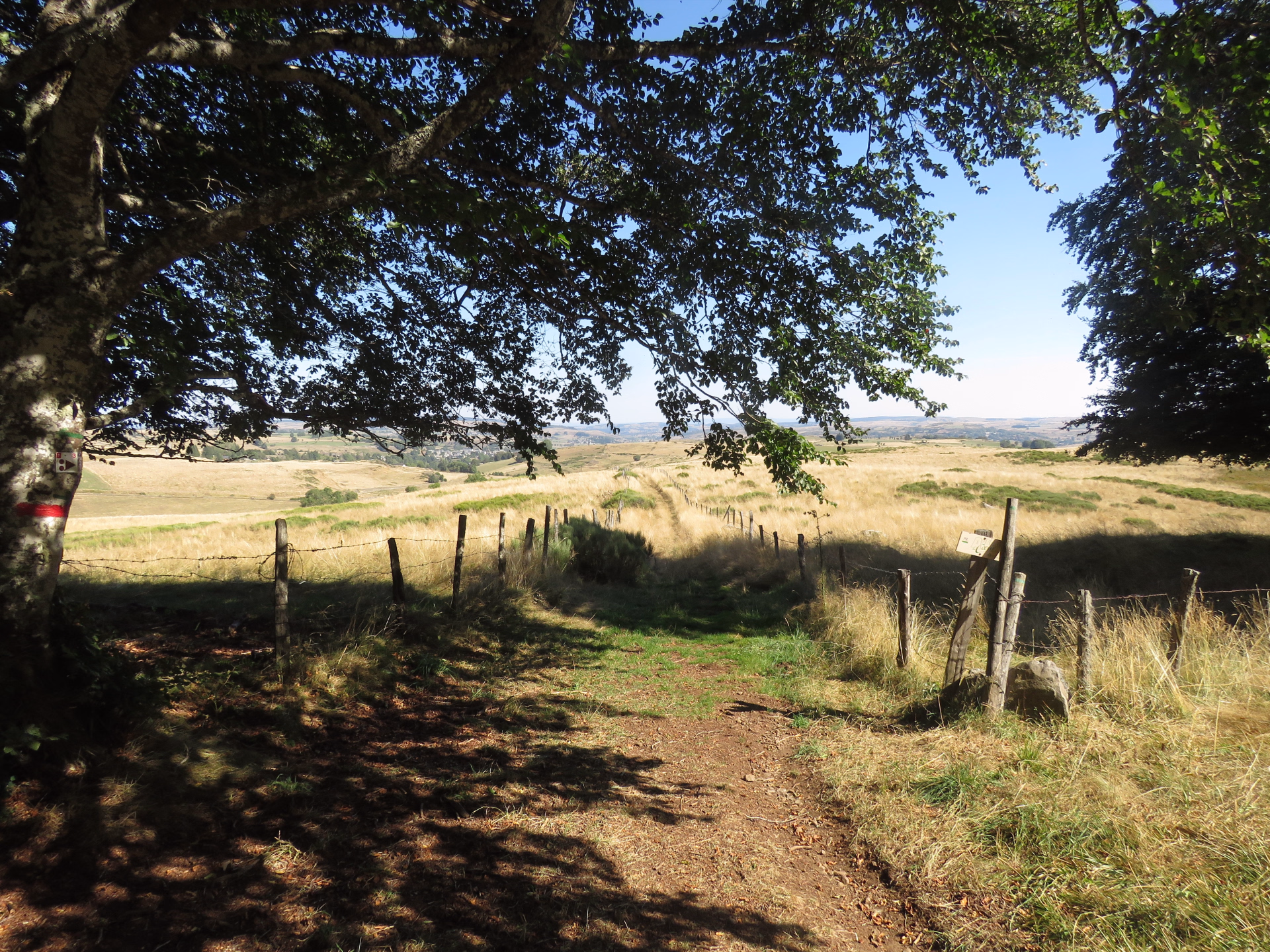 Le tour des Monts d'Aubrac en randonnée