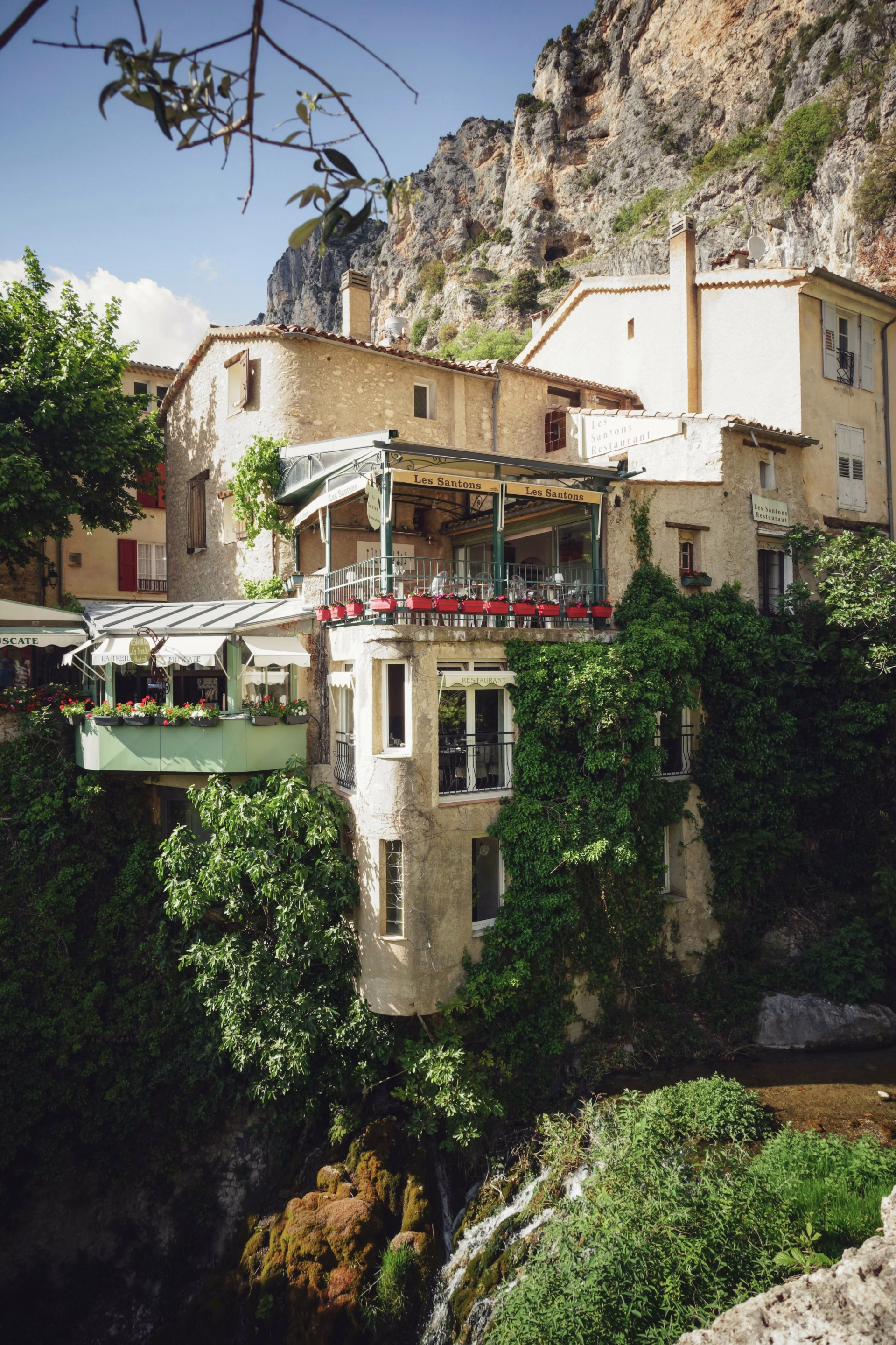 Yoga et découverte du Verdon, pension complète végétarienne.