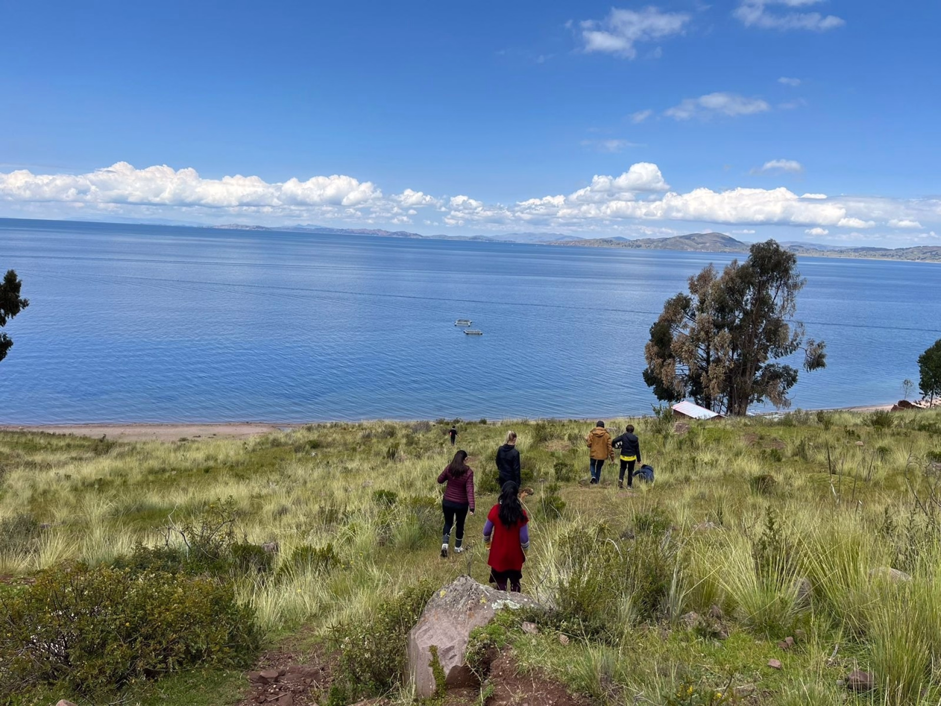 Circuit au Sud Pérou en petit groupe : immersion andine, lac Titicaca
