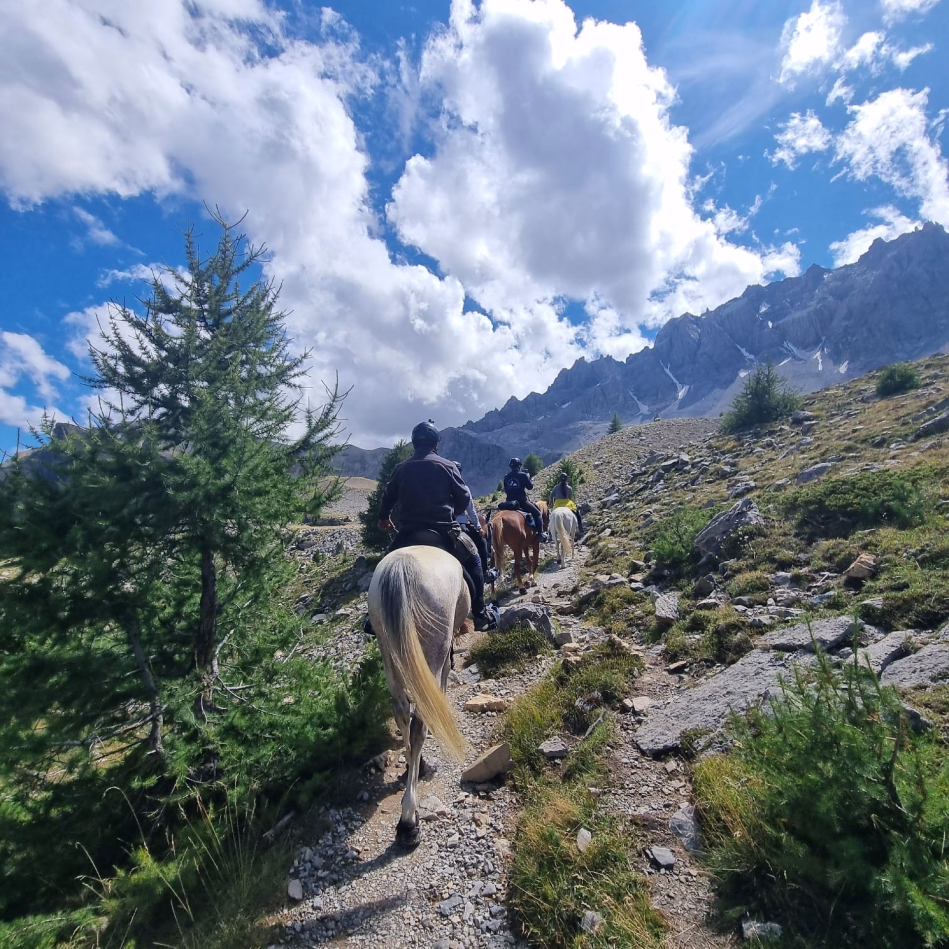 Trek des lacs et panoramas du Viso en Queyras