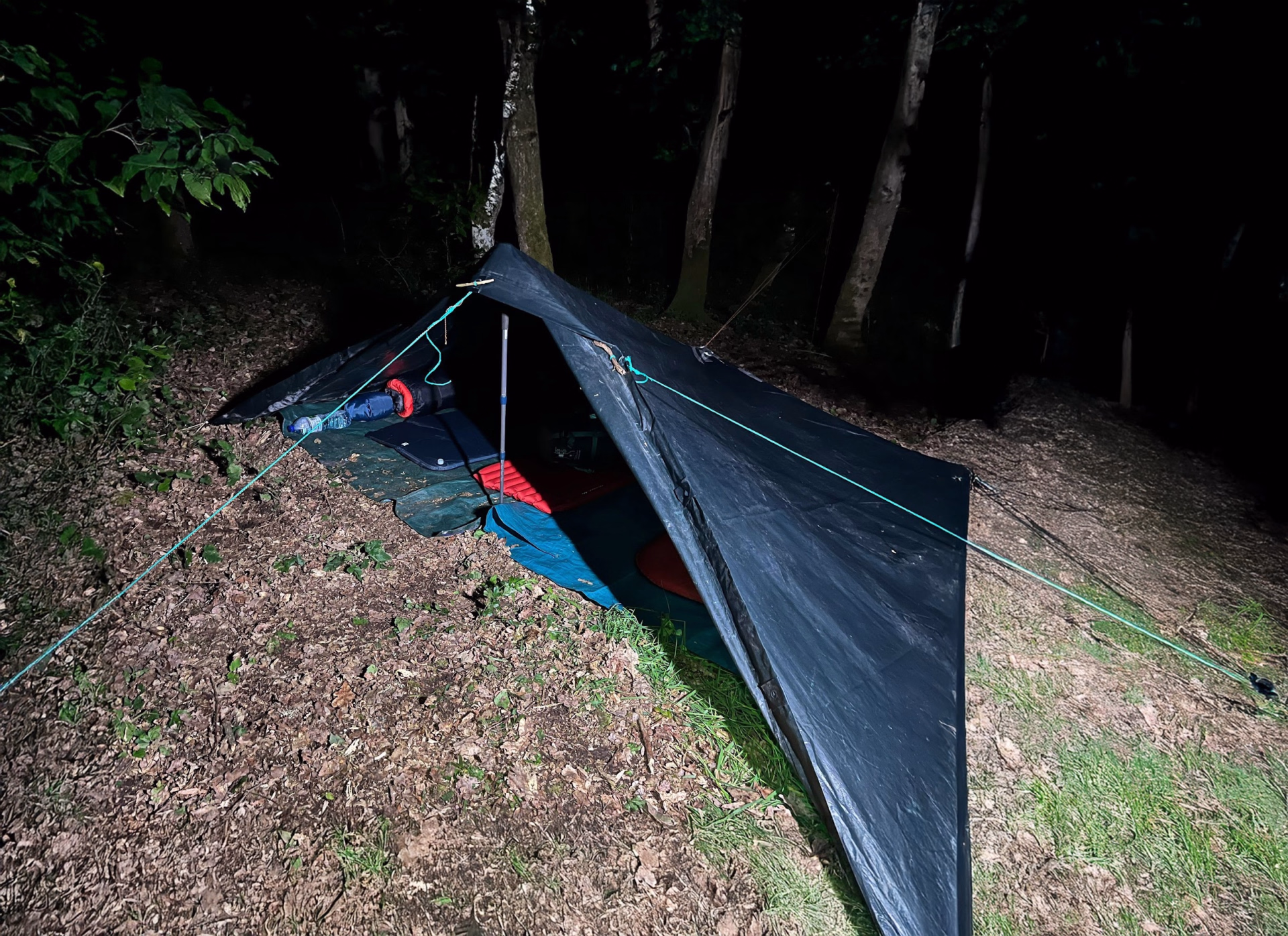 Stage survie de 3 jours dans les forêts du Vercors