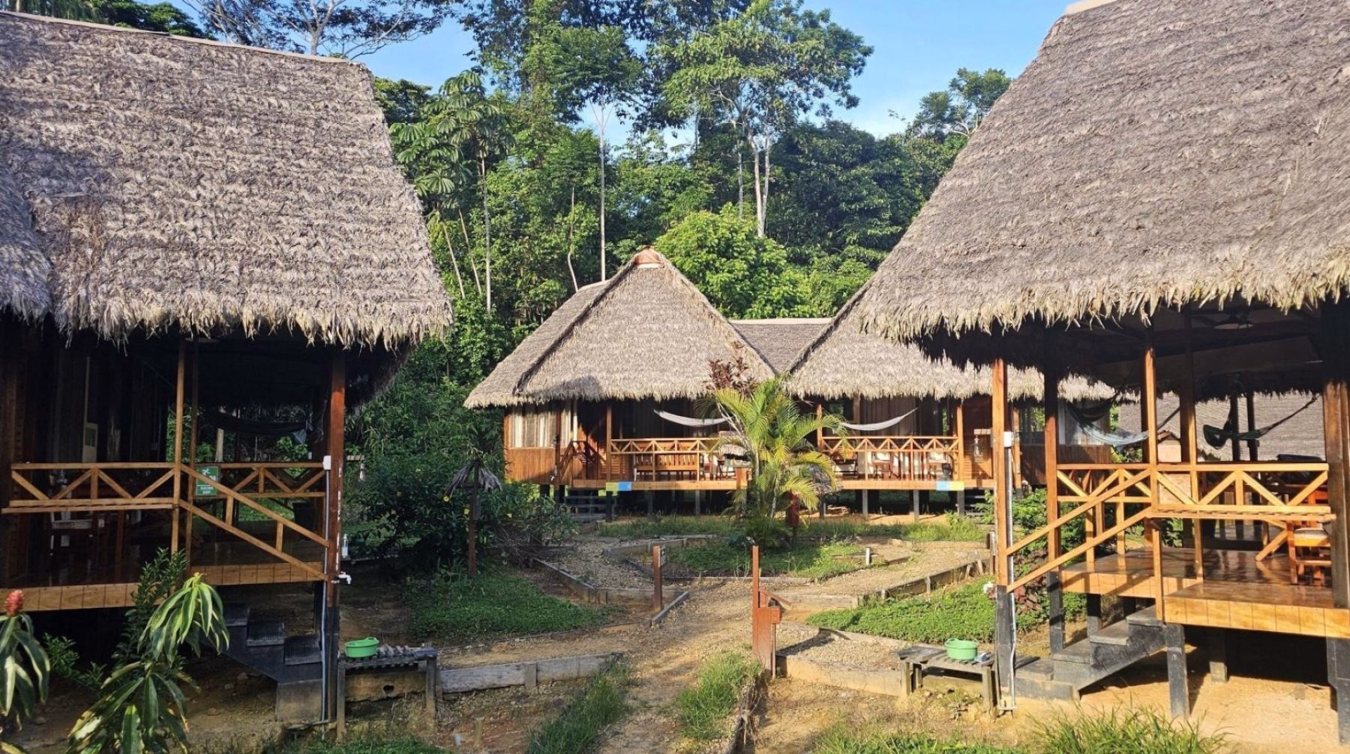 Réserve nationale de Tambopata : le sanctuaire de la nature