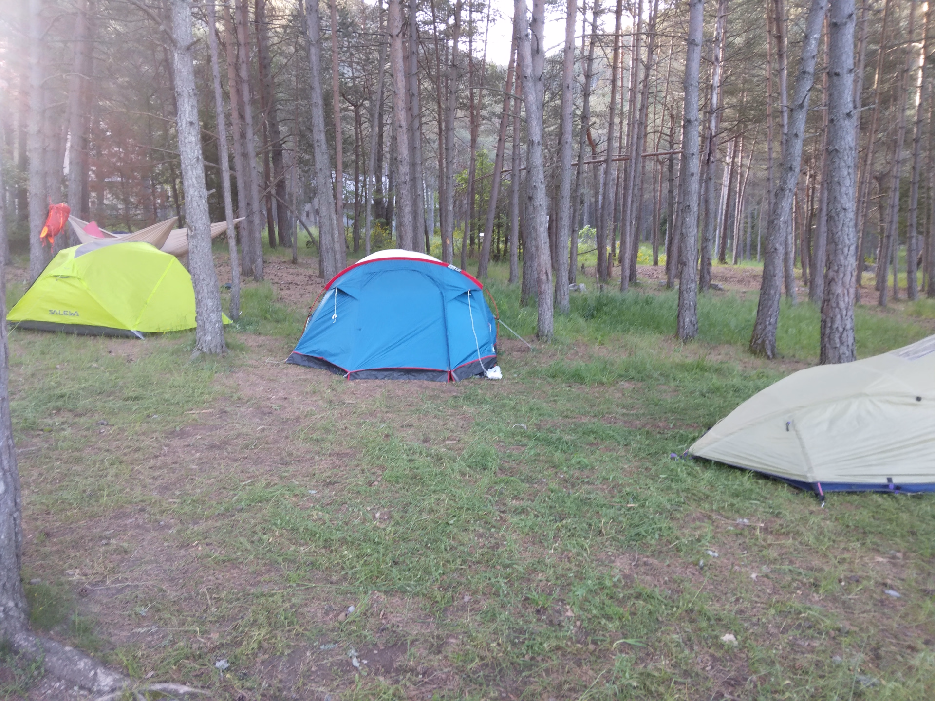 Micro-aventure bivouac et survie en forêt