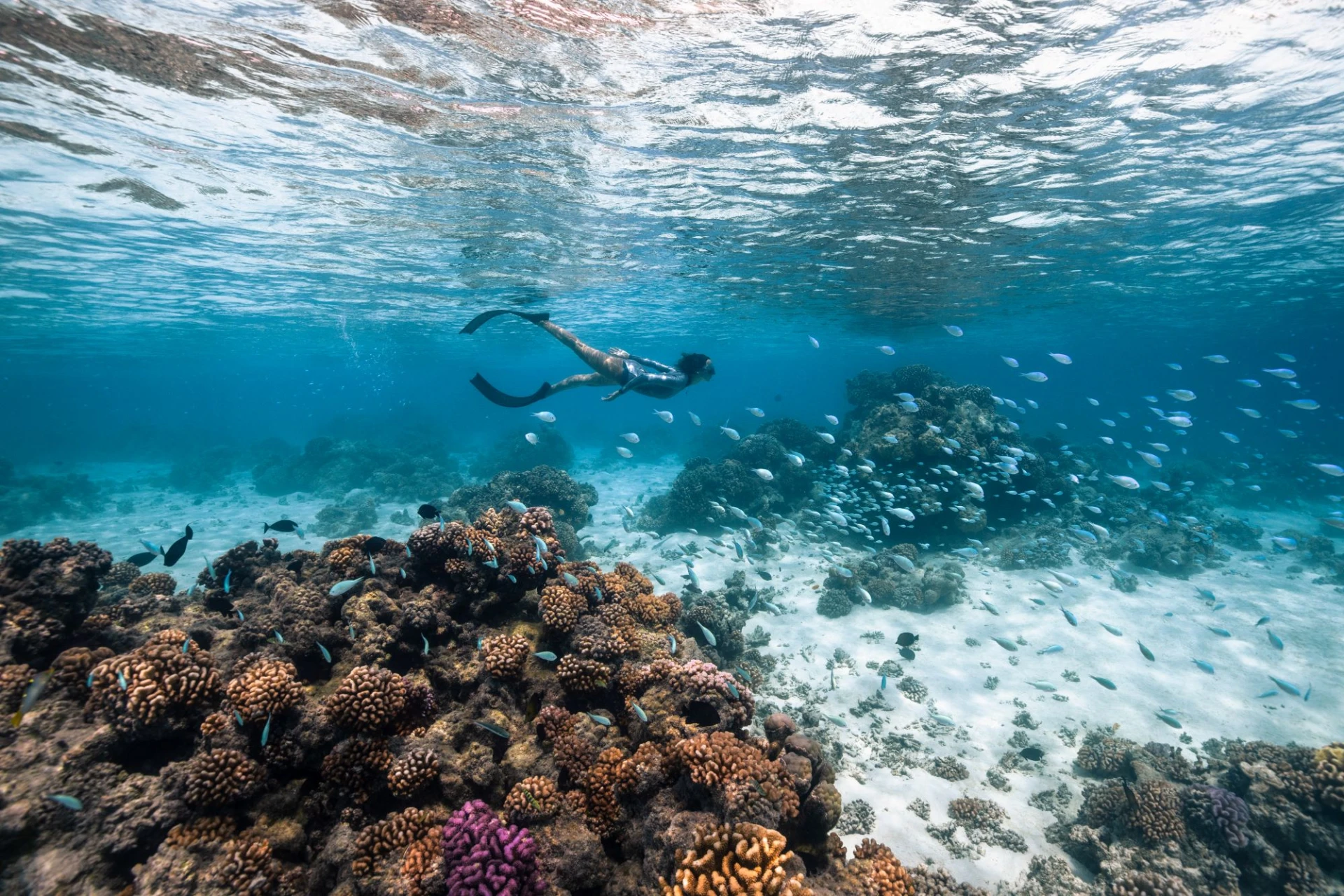 le snorkeling en amoureux pour un week-end