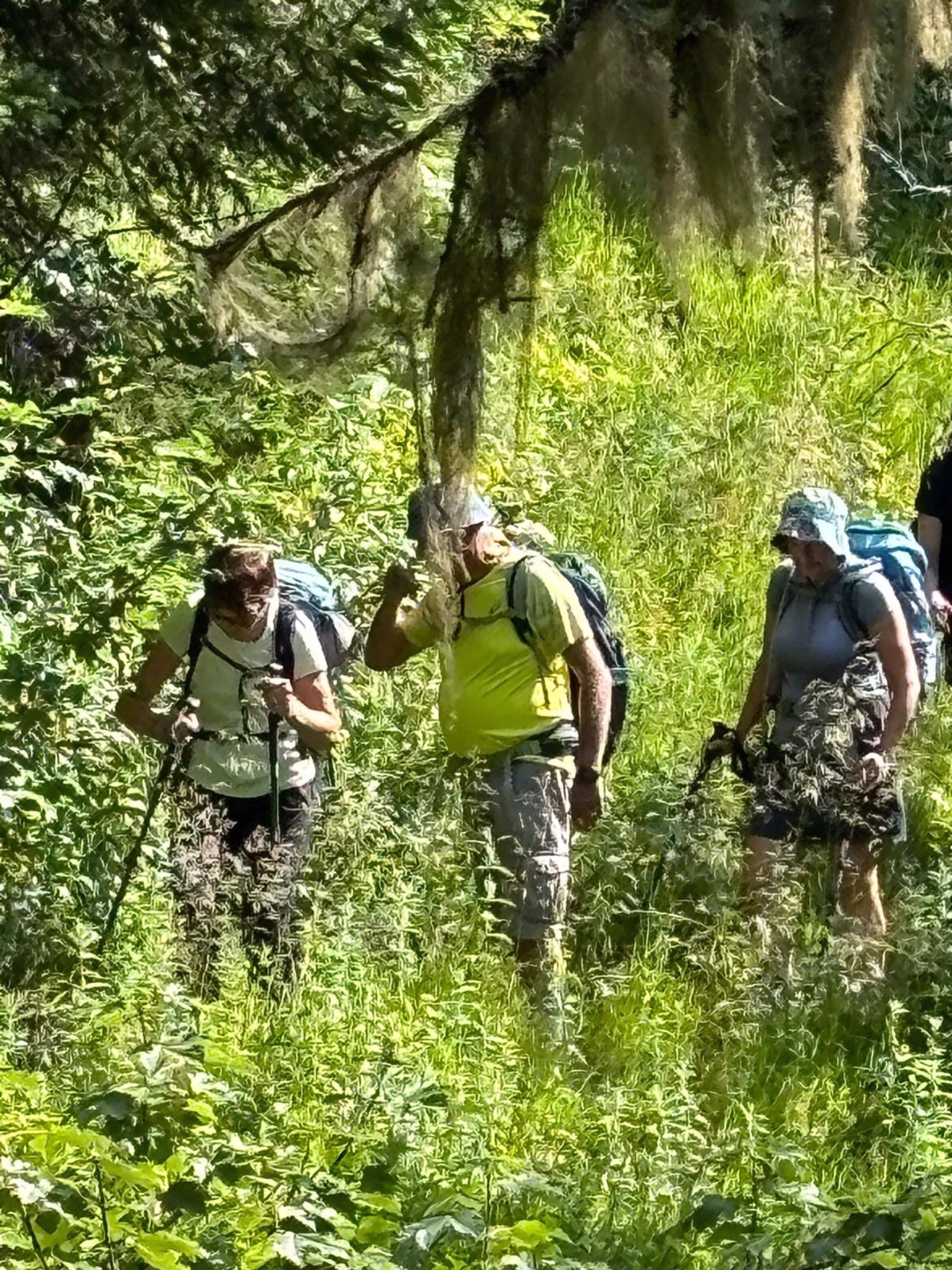 Yoga & randonnée face aux sommets du massif de la Lauzière