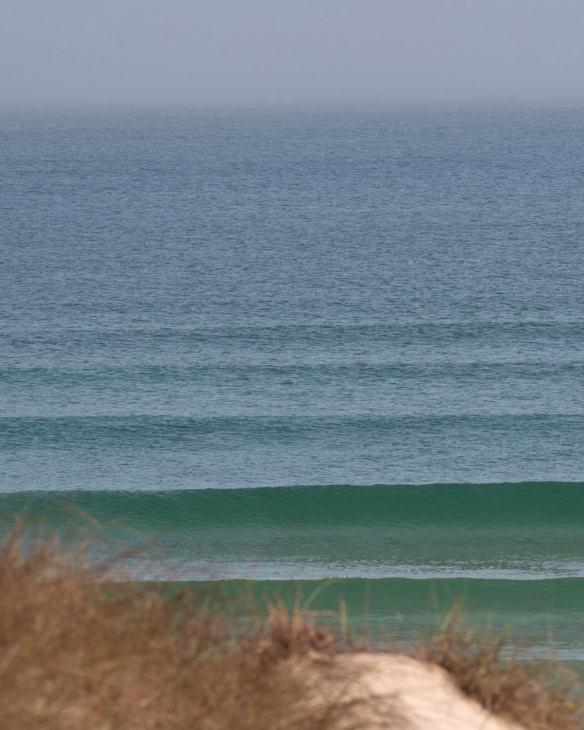 Semaine Spéciale Championnat du Monde de Surf au Portugal
