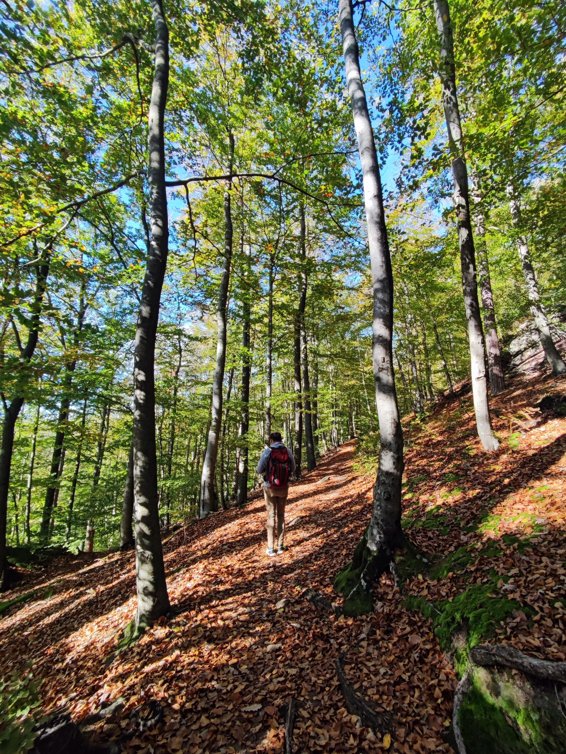 Randonnée 3 jours au cœur des Vosges du Nord en Alsace