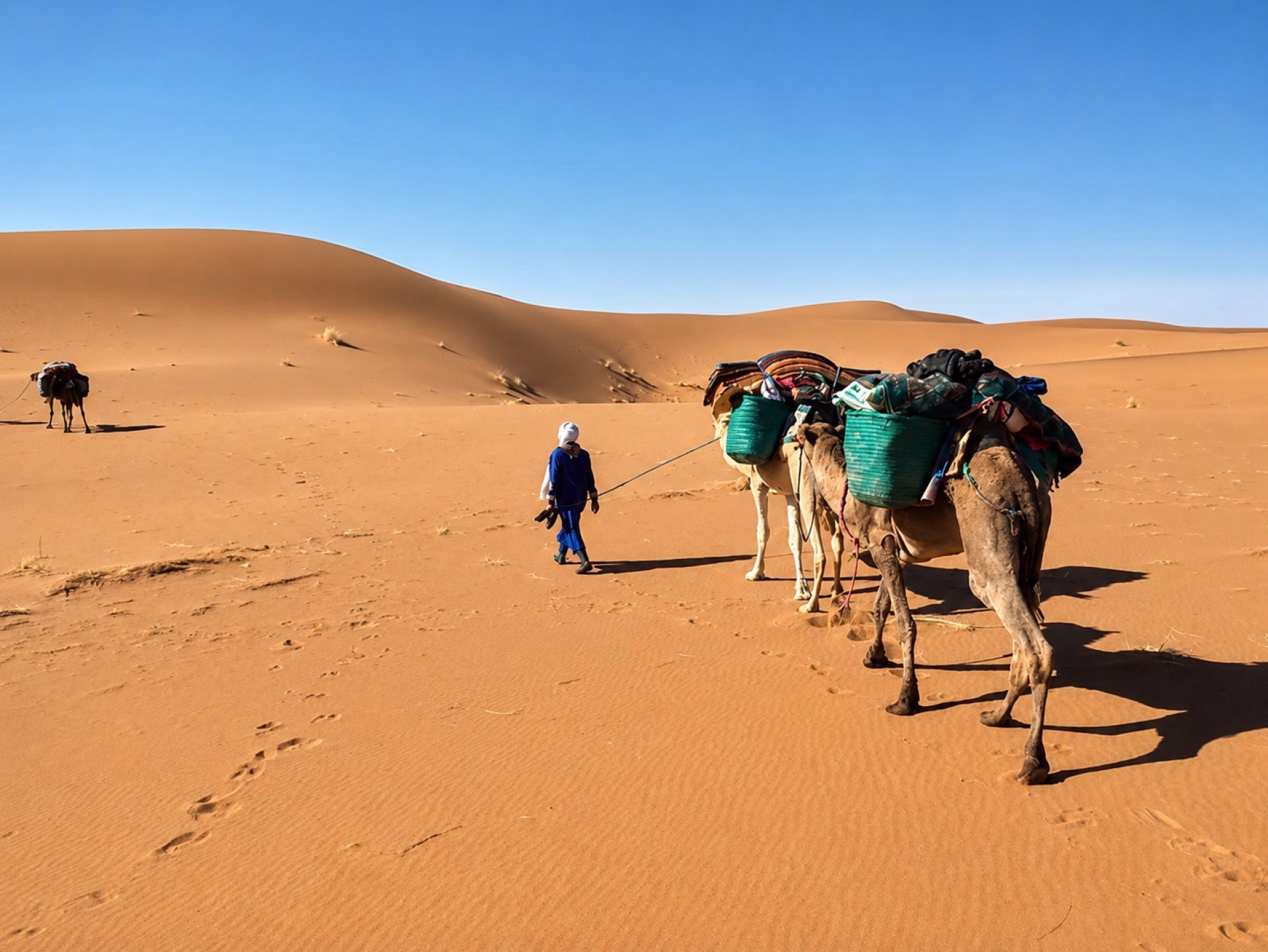 Trekking familial de 7 jours dans le désert marocain