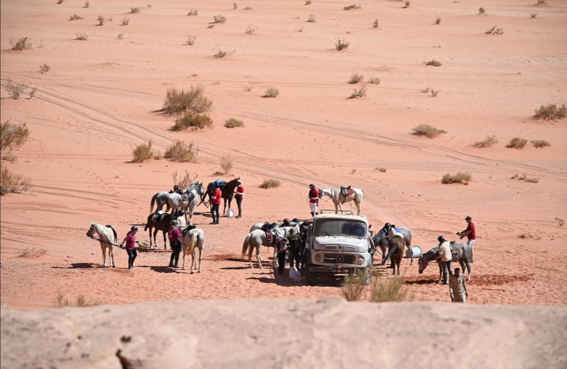Jordanie classique et balade à cheval 4*